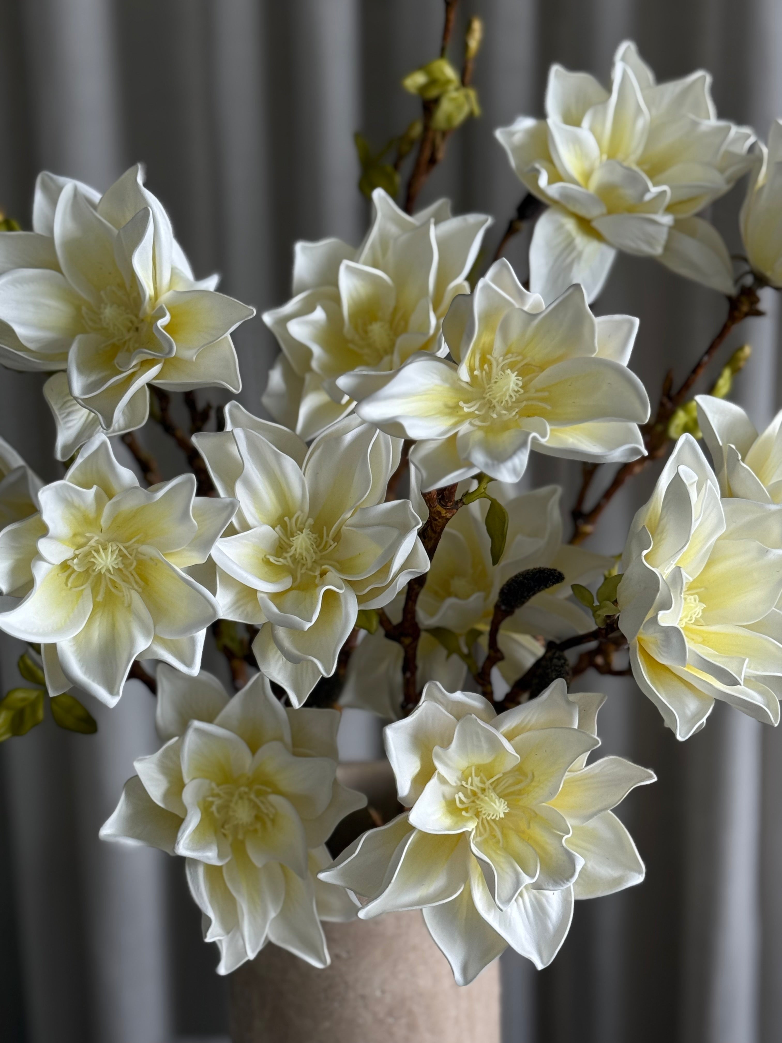 Magnoliabukett hvit — skulpturelle grener med delikate hvite kronblader, naturlig organisk uttrykk