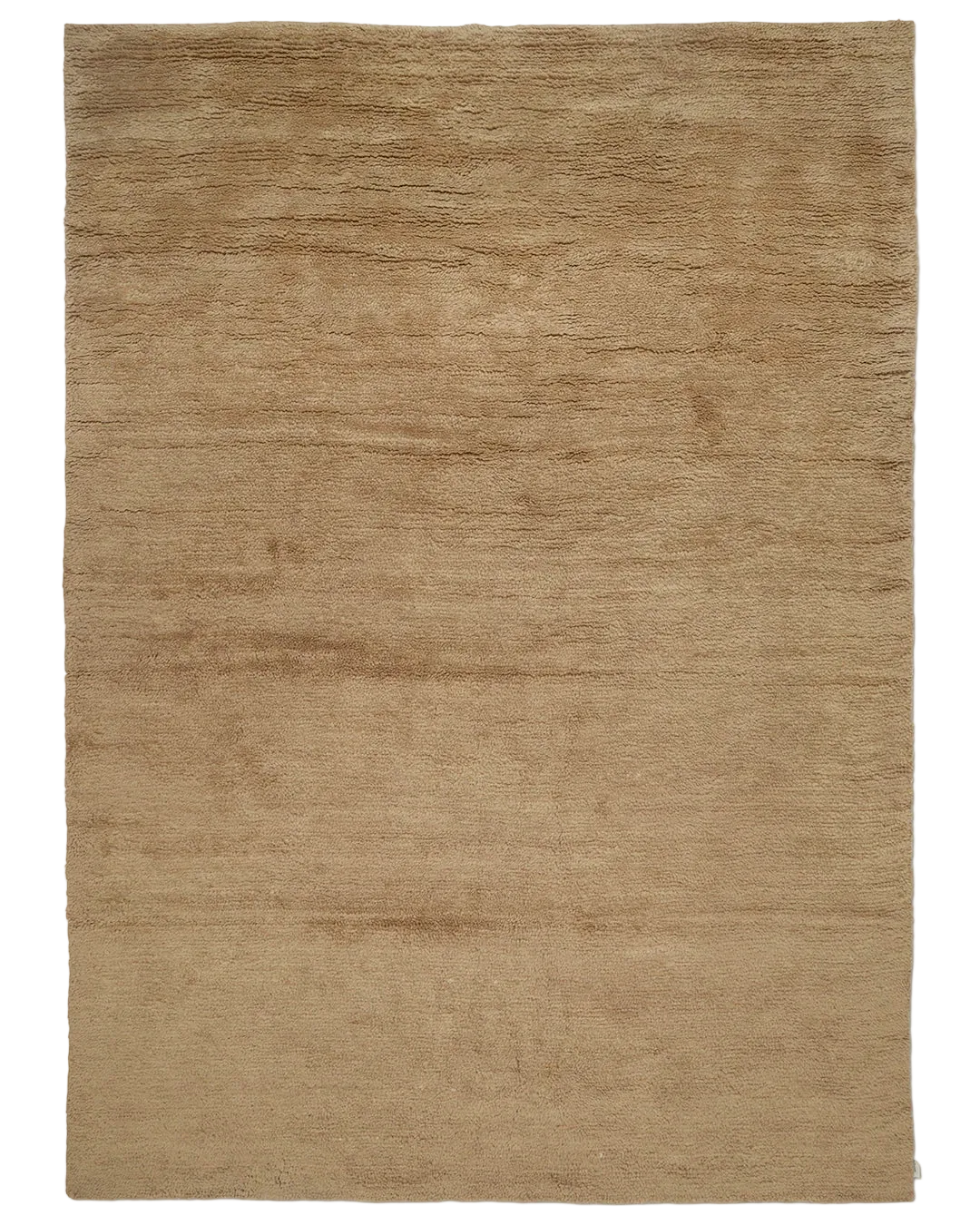 Dune wheat