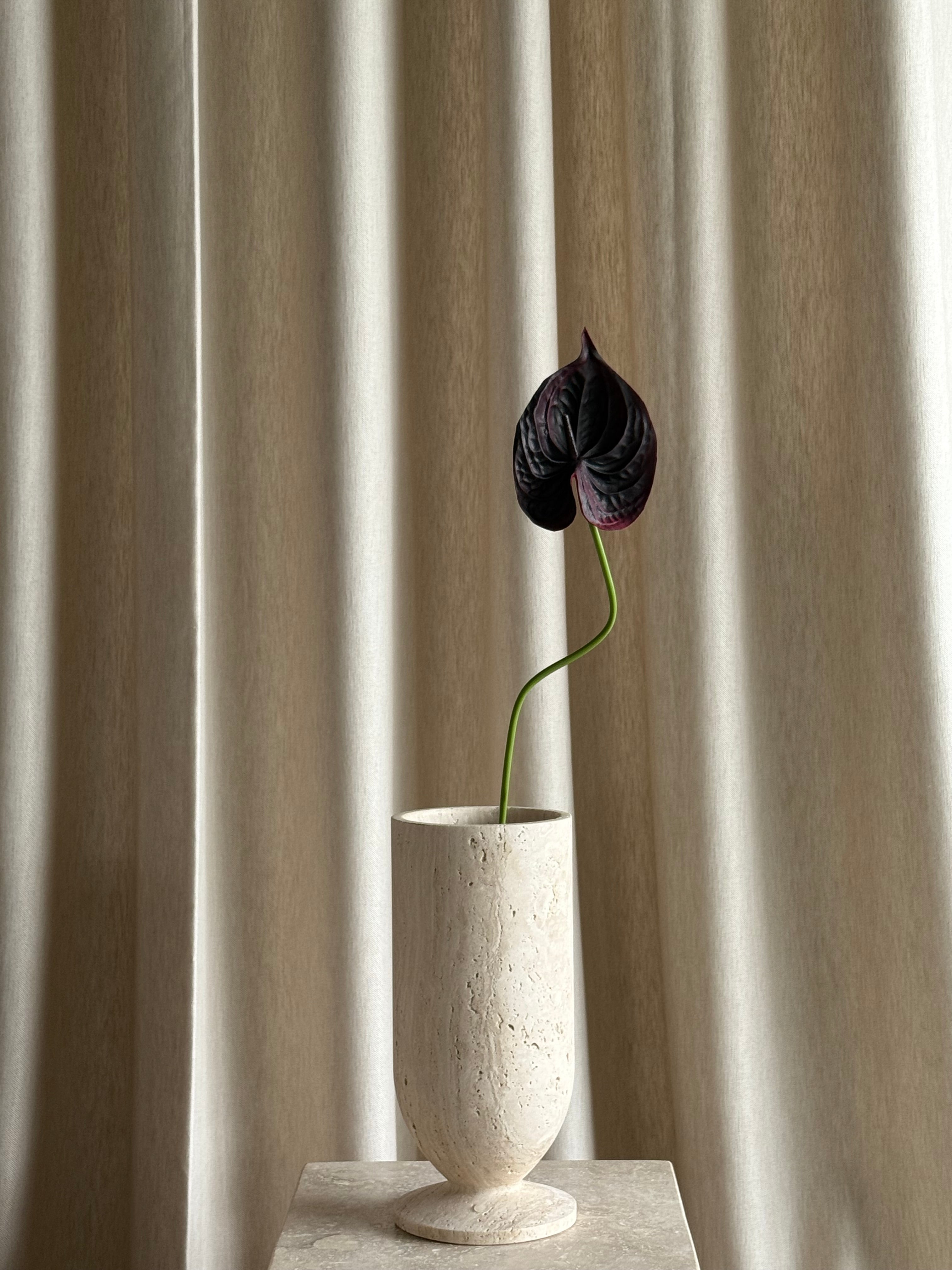 Anthurium svart/burgunder