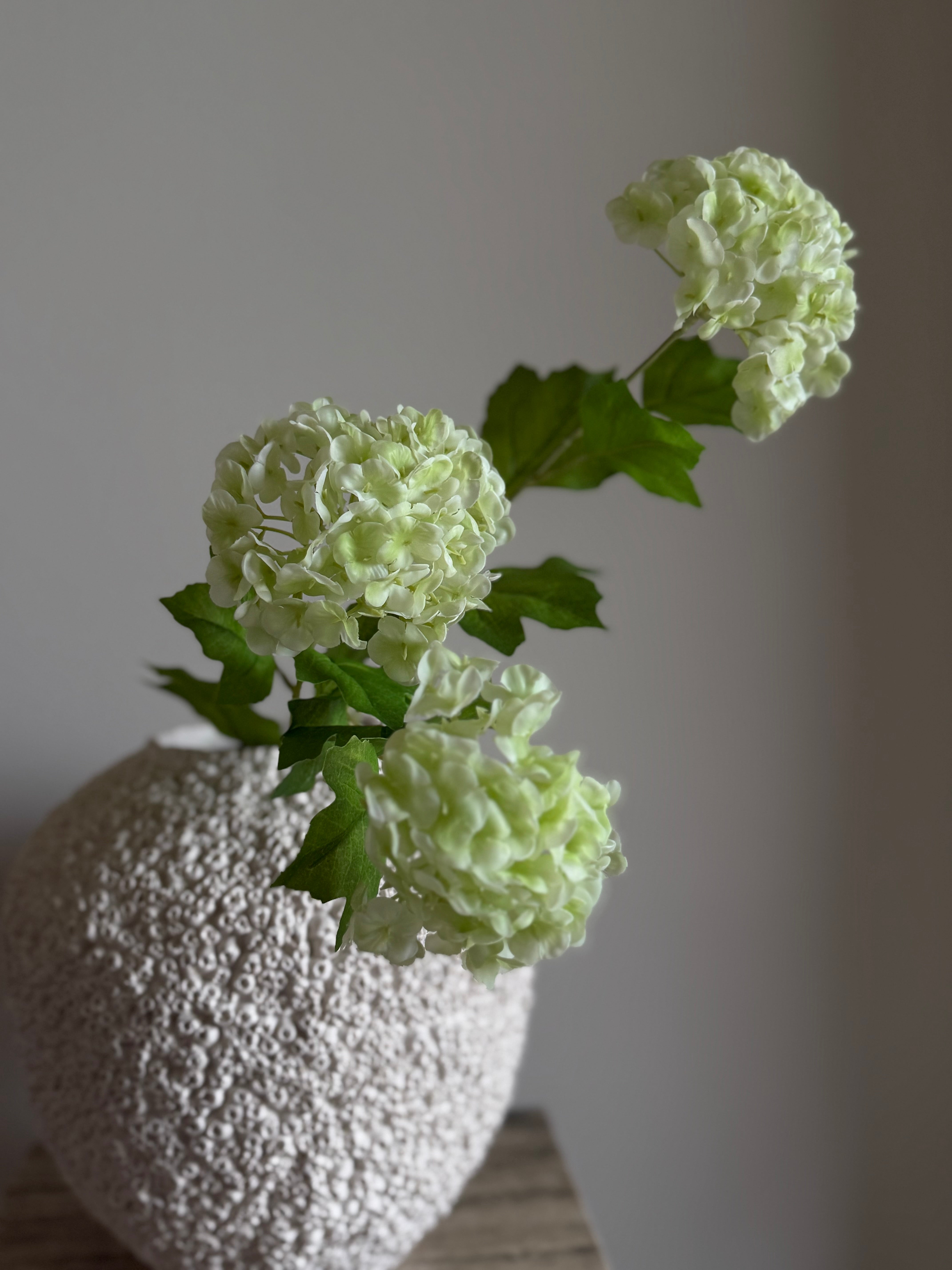 Hortensia lys grønn 3