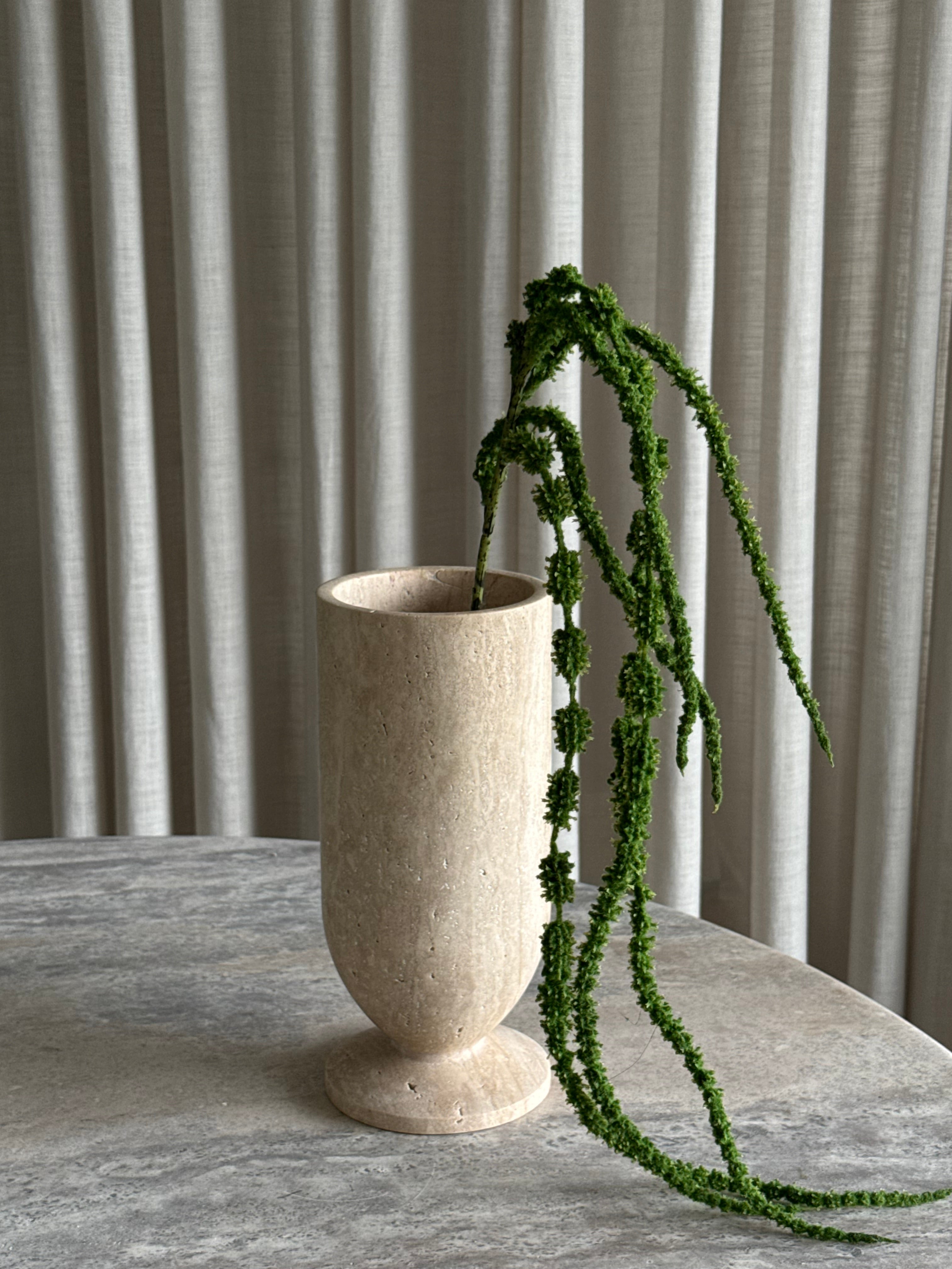 Amaranthus mørk grønn