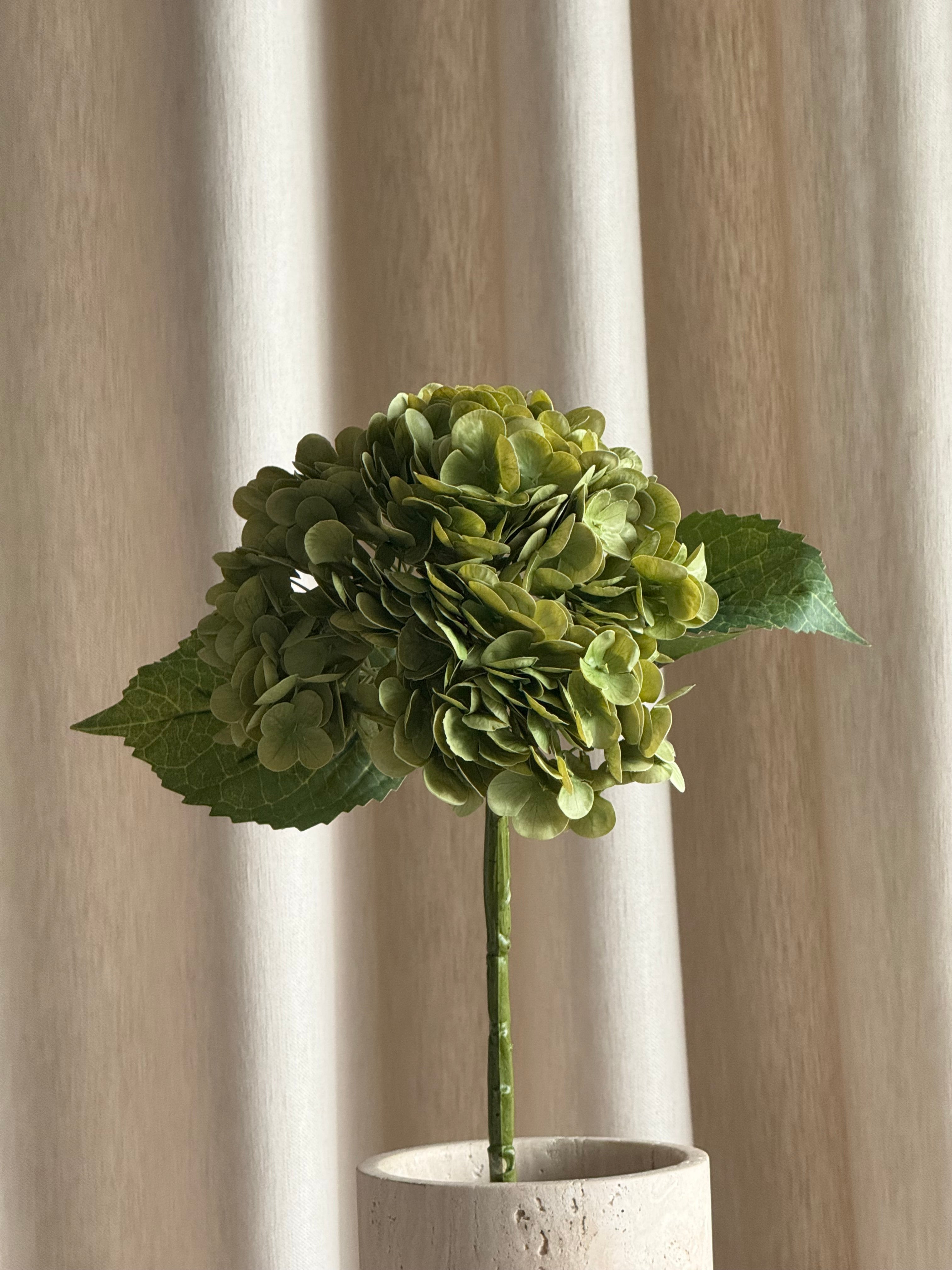 Hortensia dus grønn