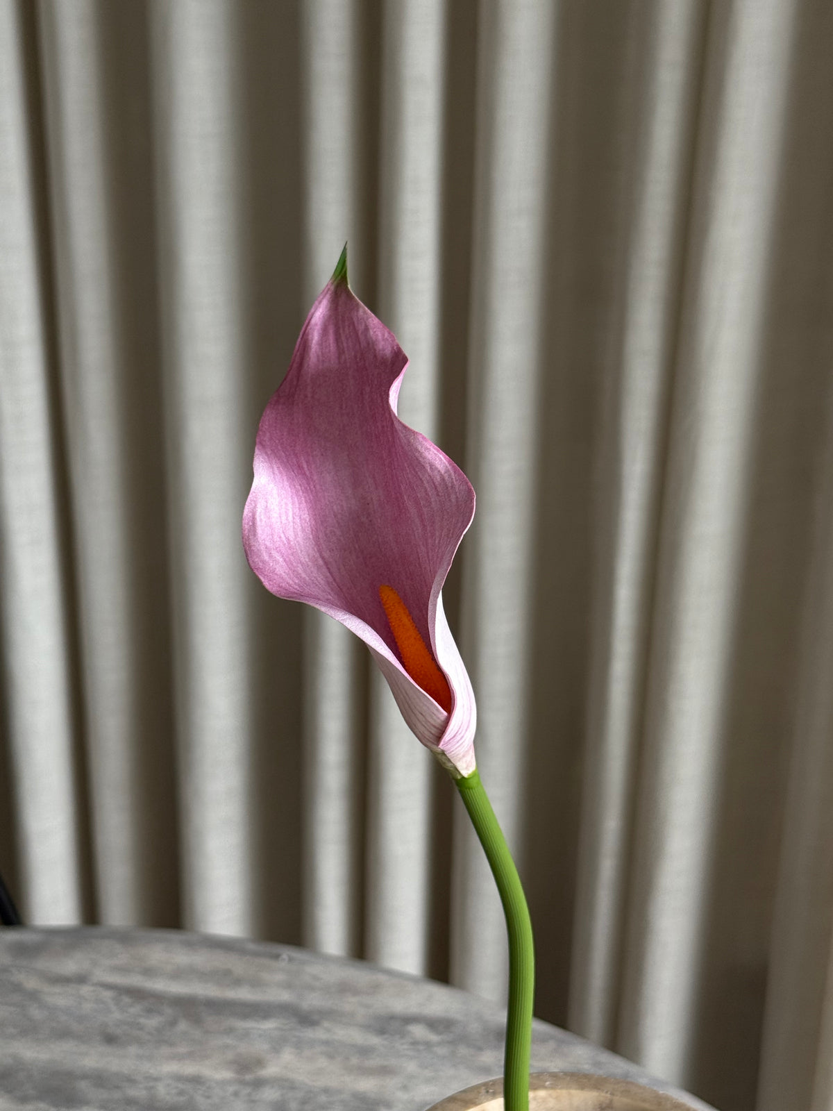 Kala rosa