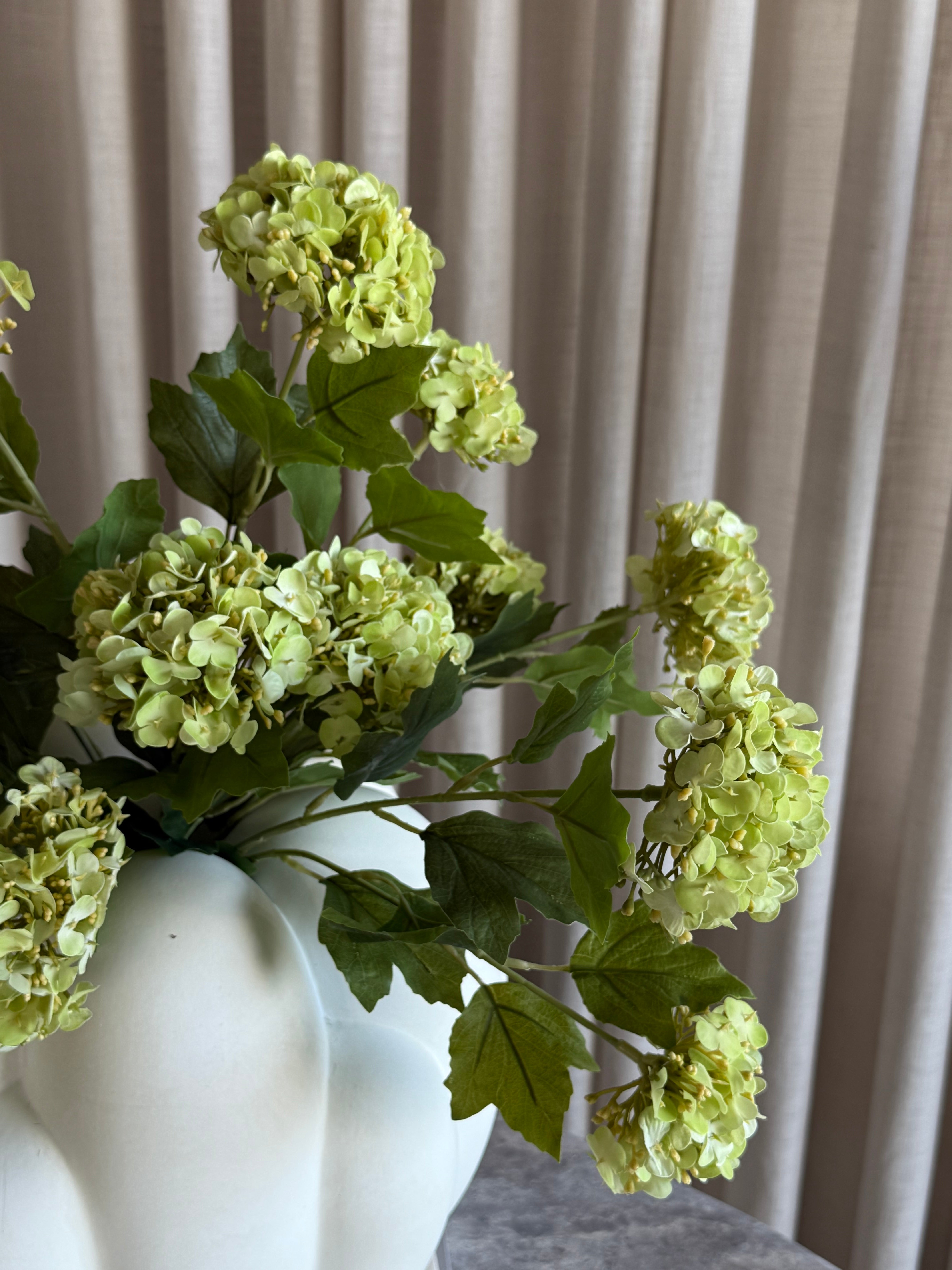 Hortensia lys grønn 3, tre lysegrønne hortensiablomster på gren, naturlig variasjon i blomstenes tone