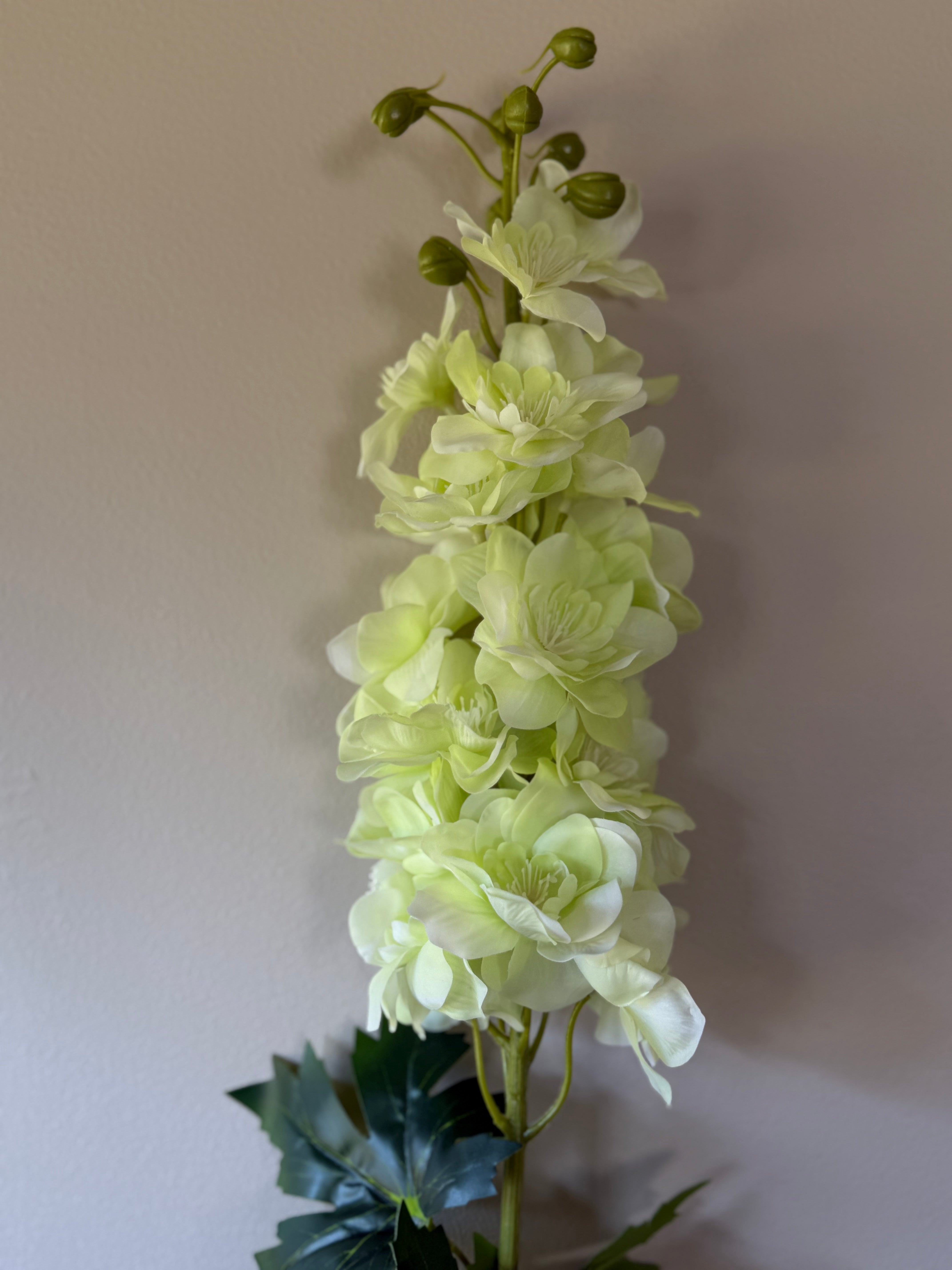 Delphinium lys grønn