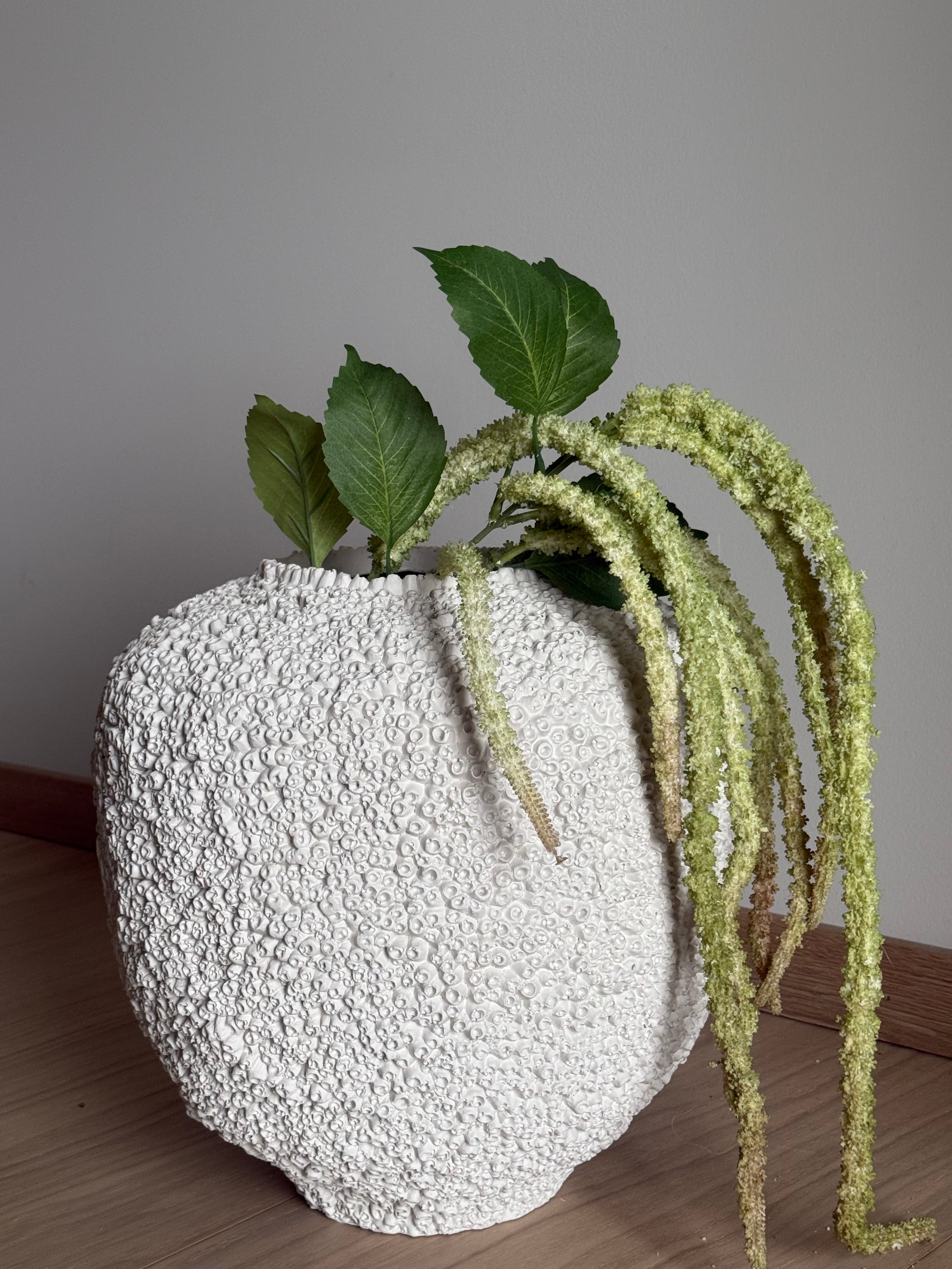 Amaranthus grønn/rød