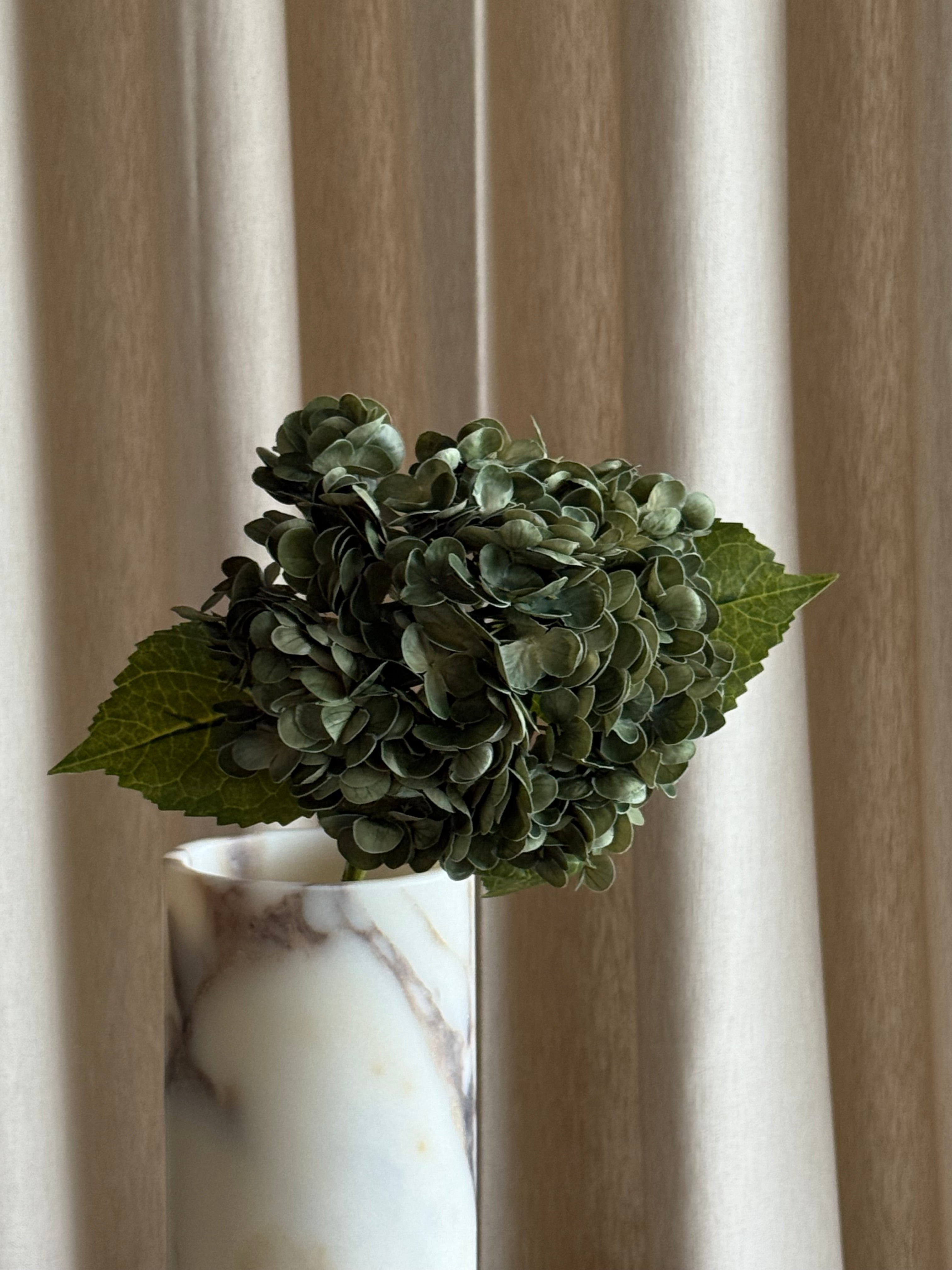 Hortensia mørk dus grønn