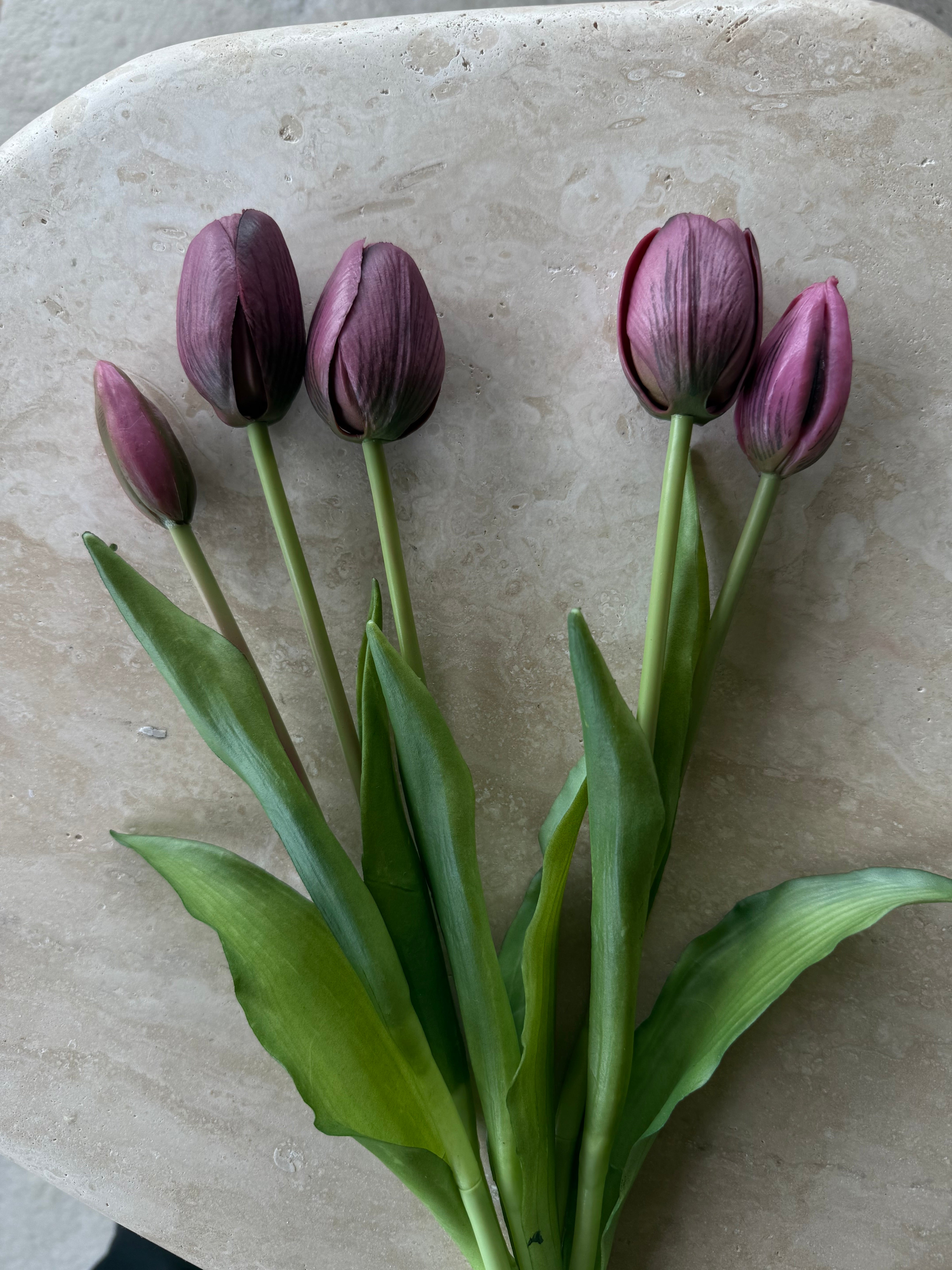 Tulipanbukett burgunder 15stk