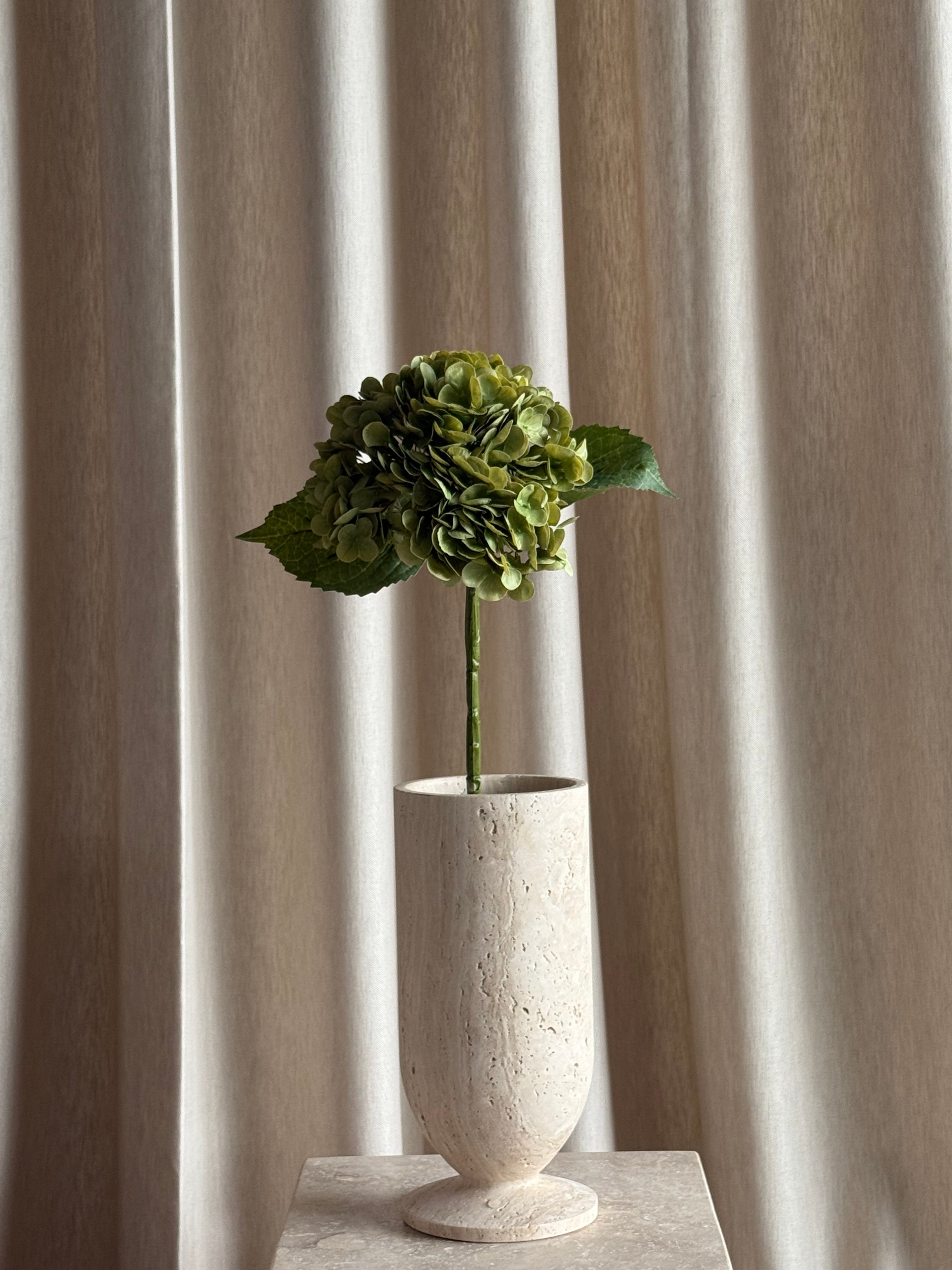 Hortensia dus grønn