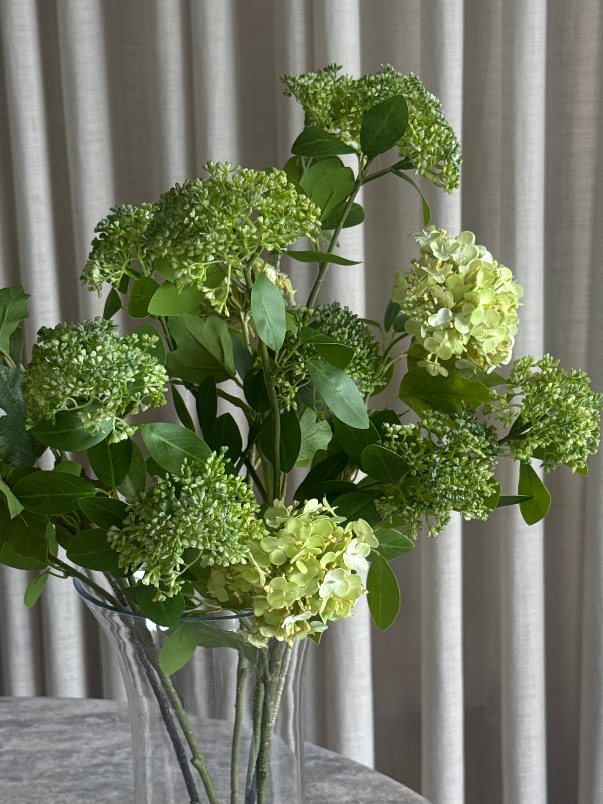 Viburnum