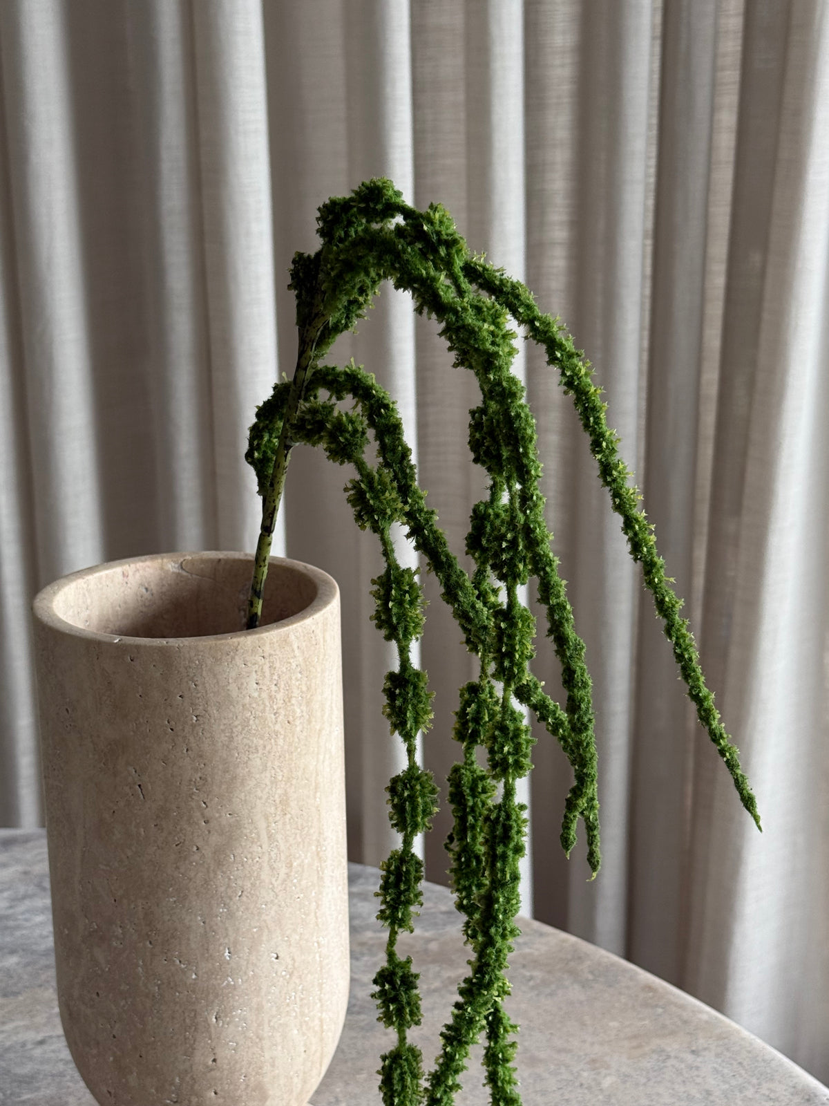 Amaranthus mørk grønn