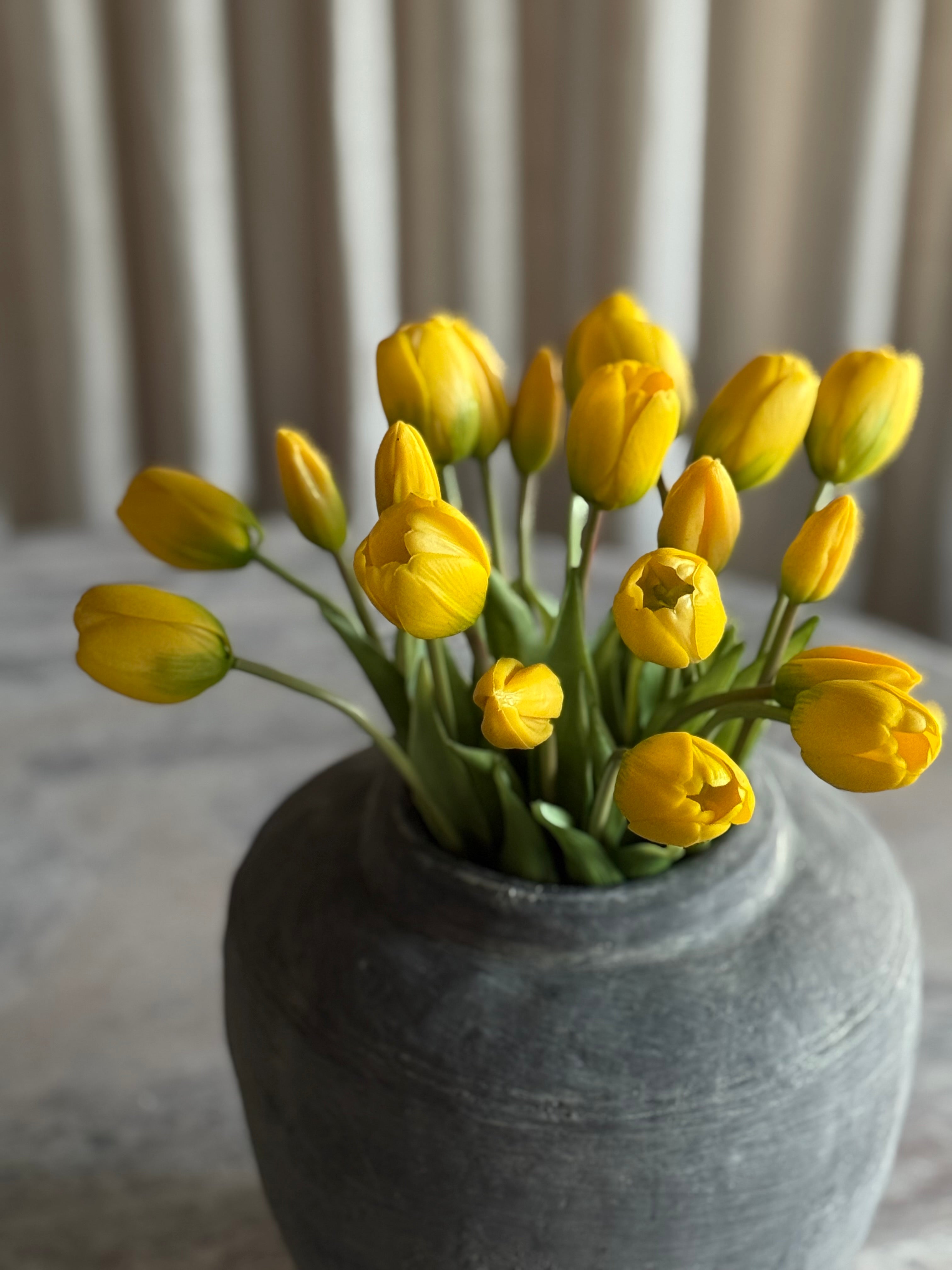 Tulipanbukett gul 15 stk