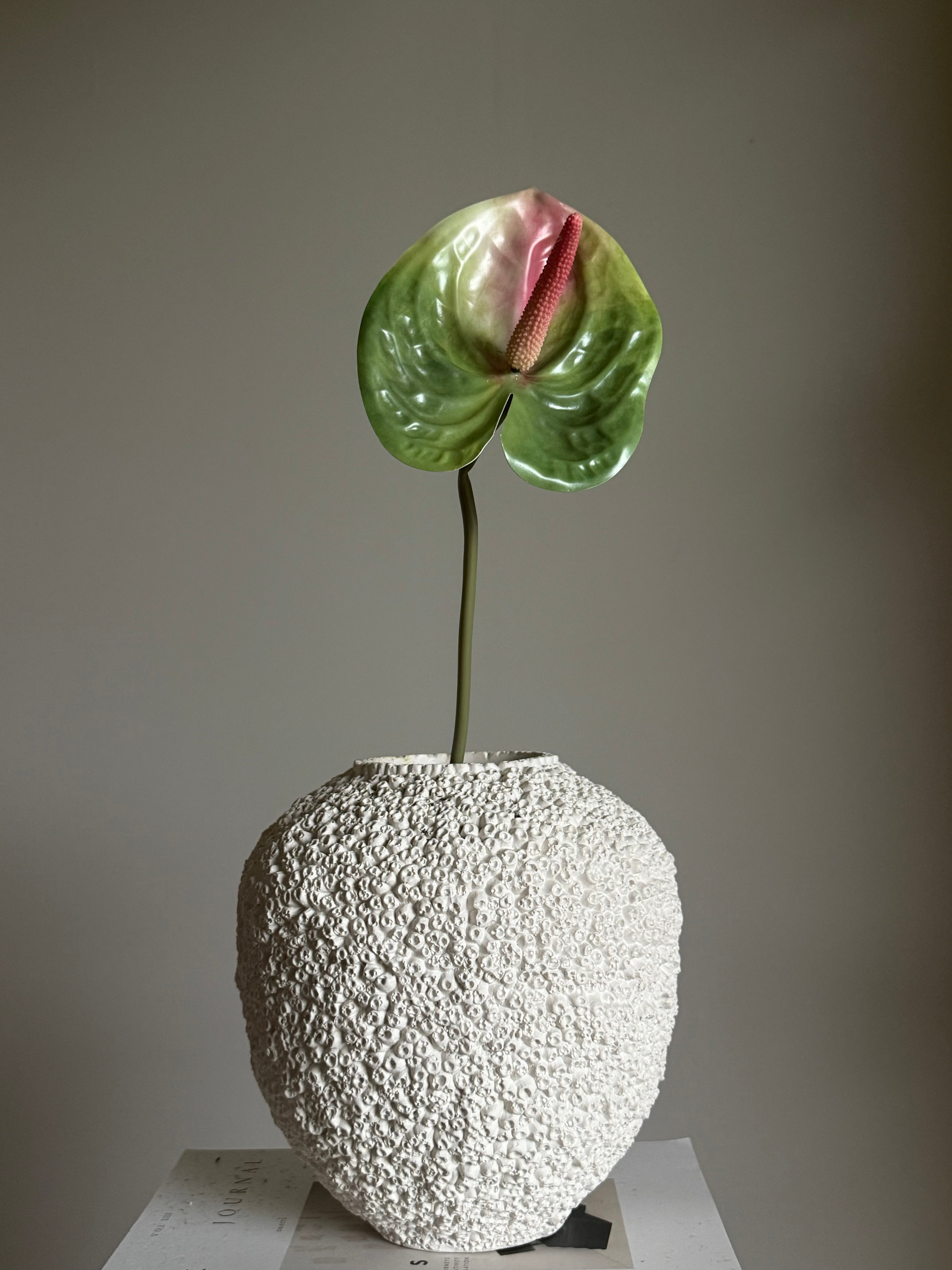 Anthurium grønn/rosa