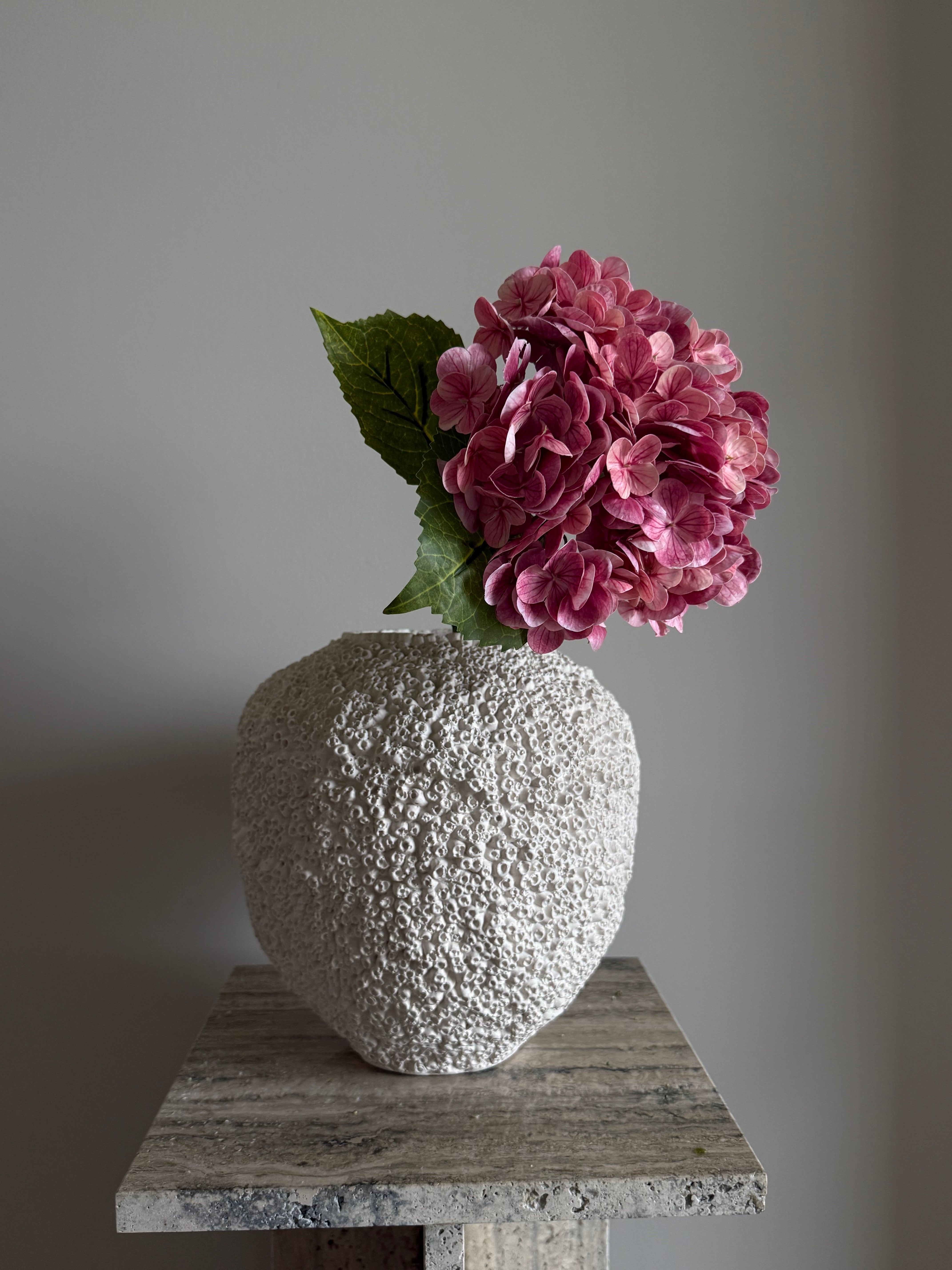 Hortensia mørk rosa