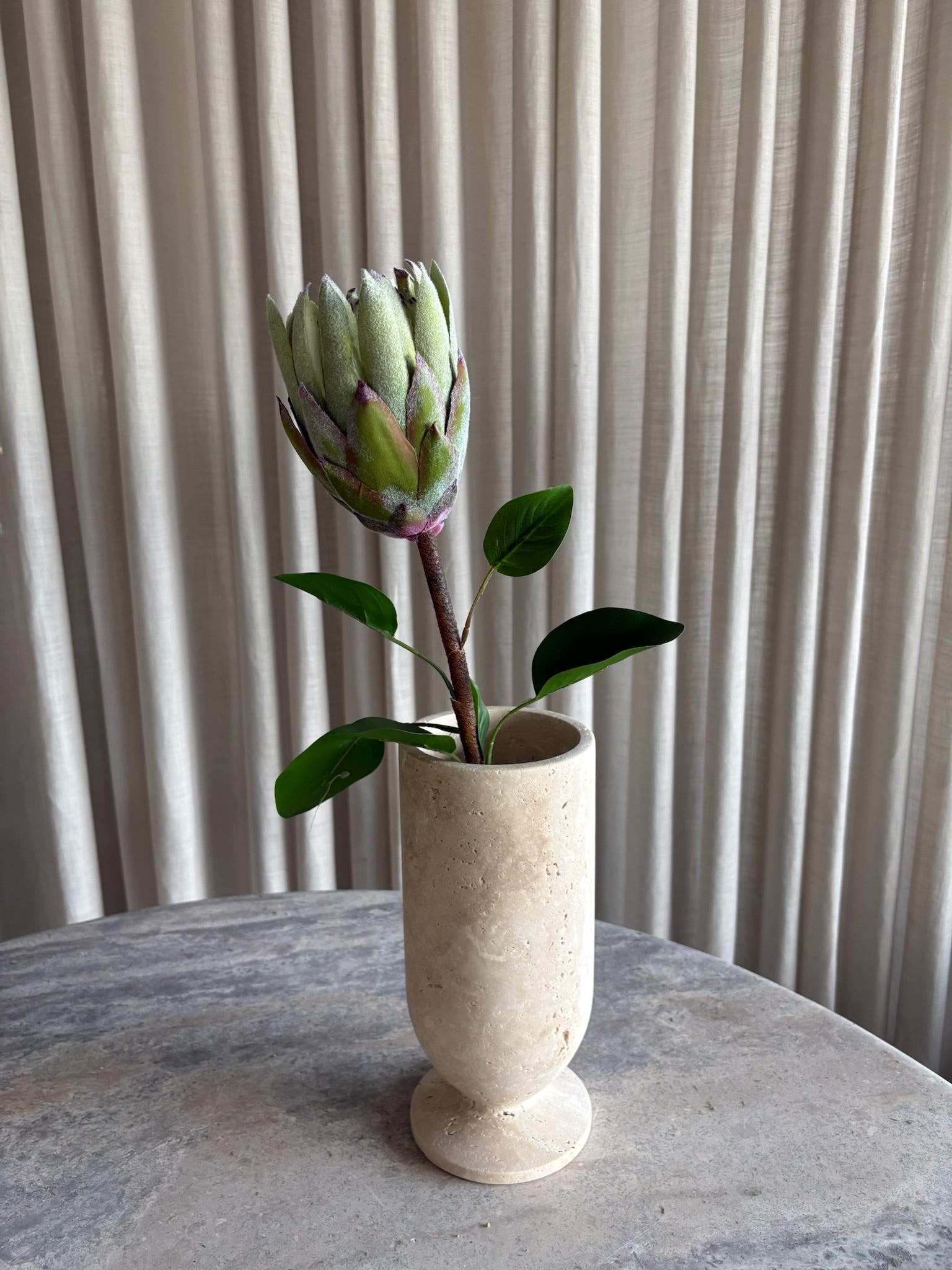 Protea