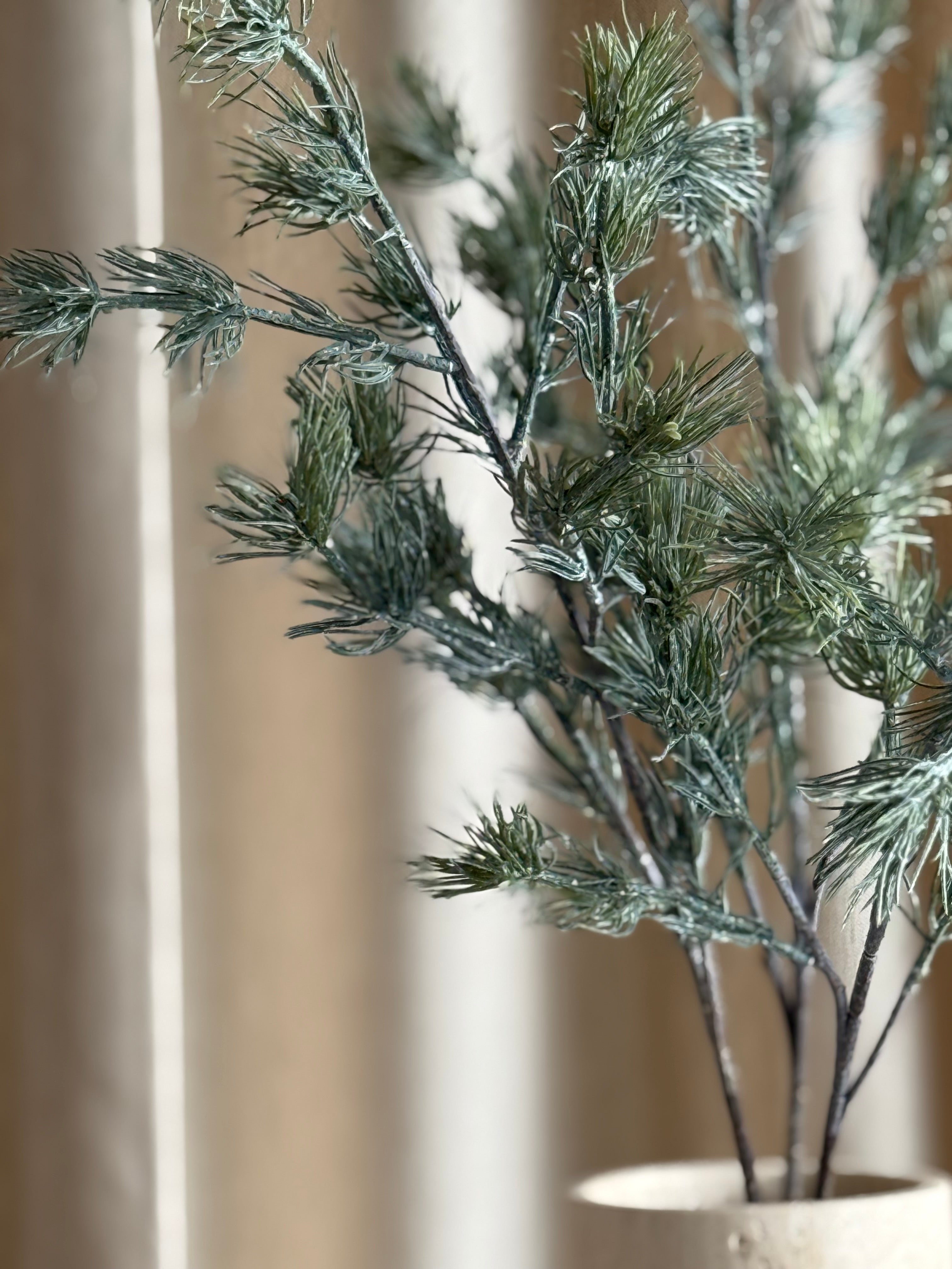 Gran frostet – fyldig grangren med naturlig frosteffekt til julens dekorasjon