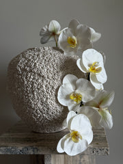 Orkide stor