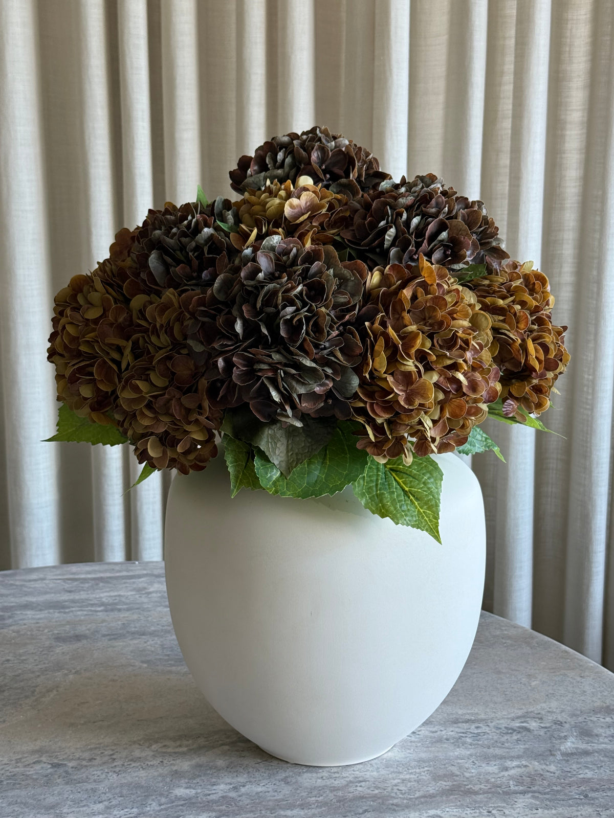 Hortensia orange/brun