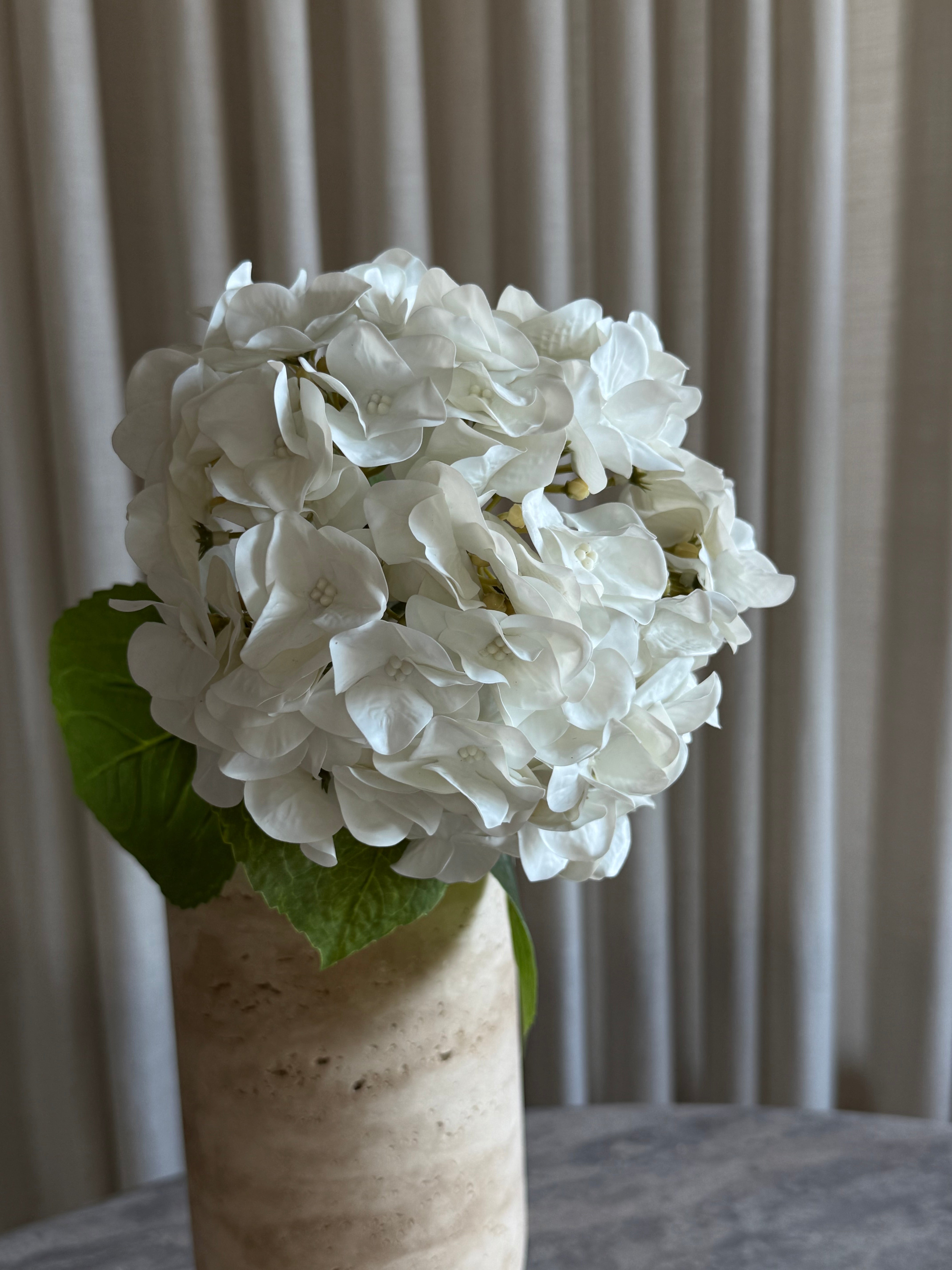 Hortensia premium hvit