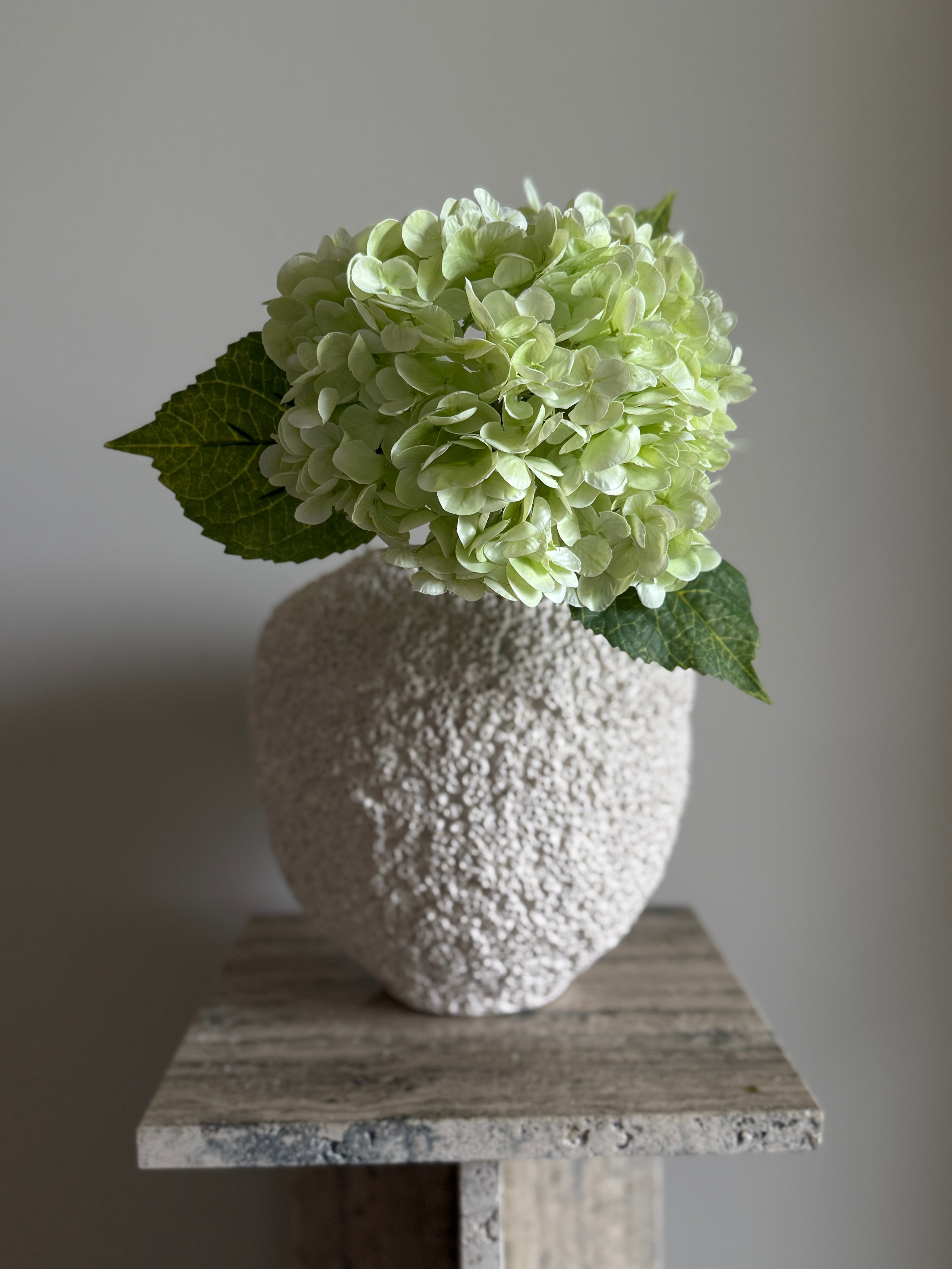 Hortensia lys grønn