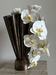 Orkide stor