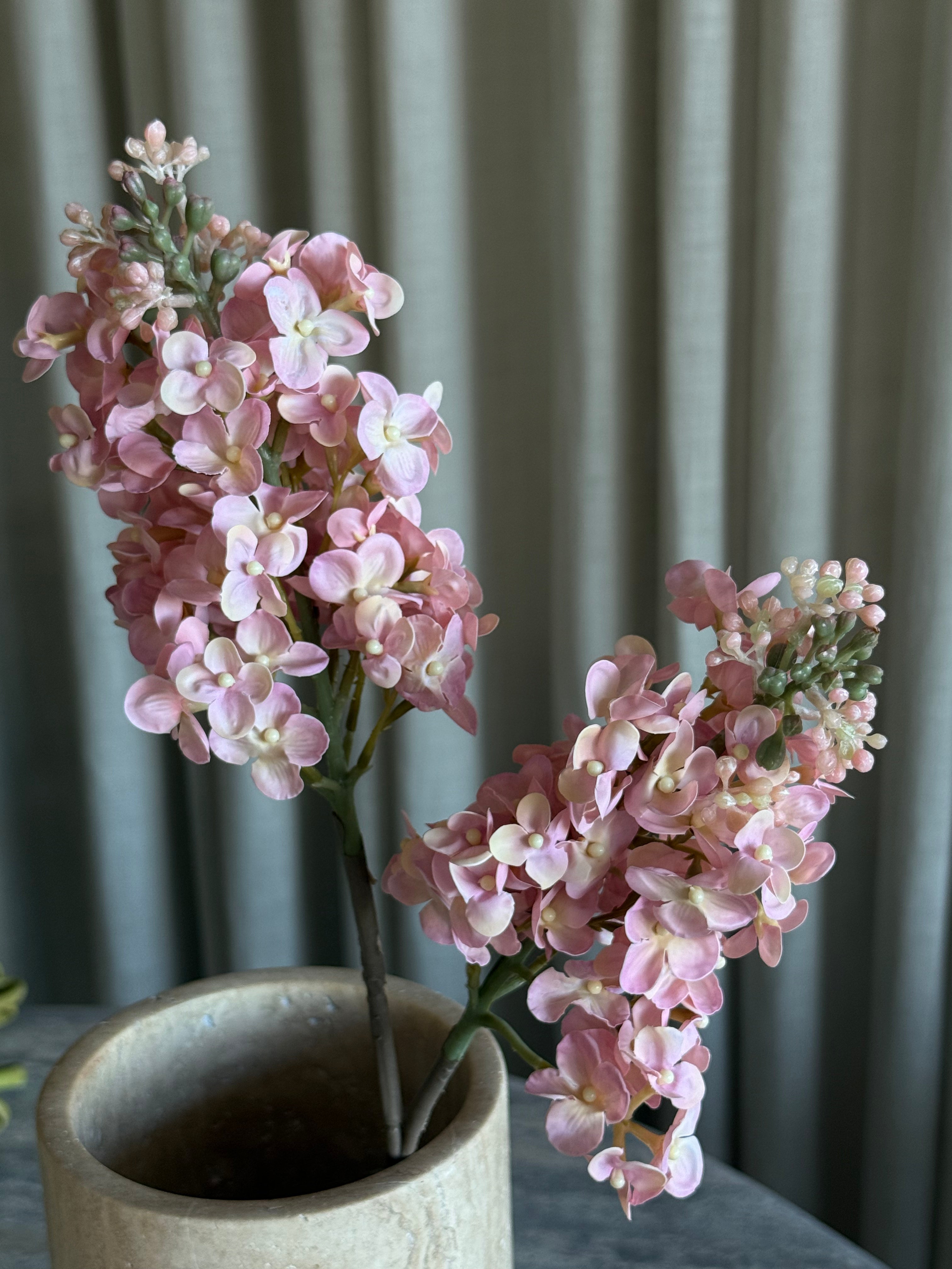 Syrinhortensia lys rosa