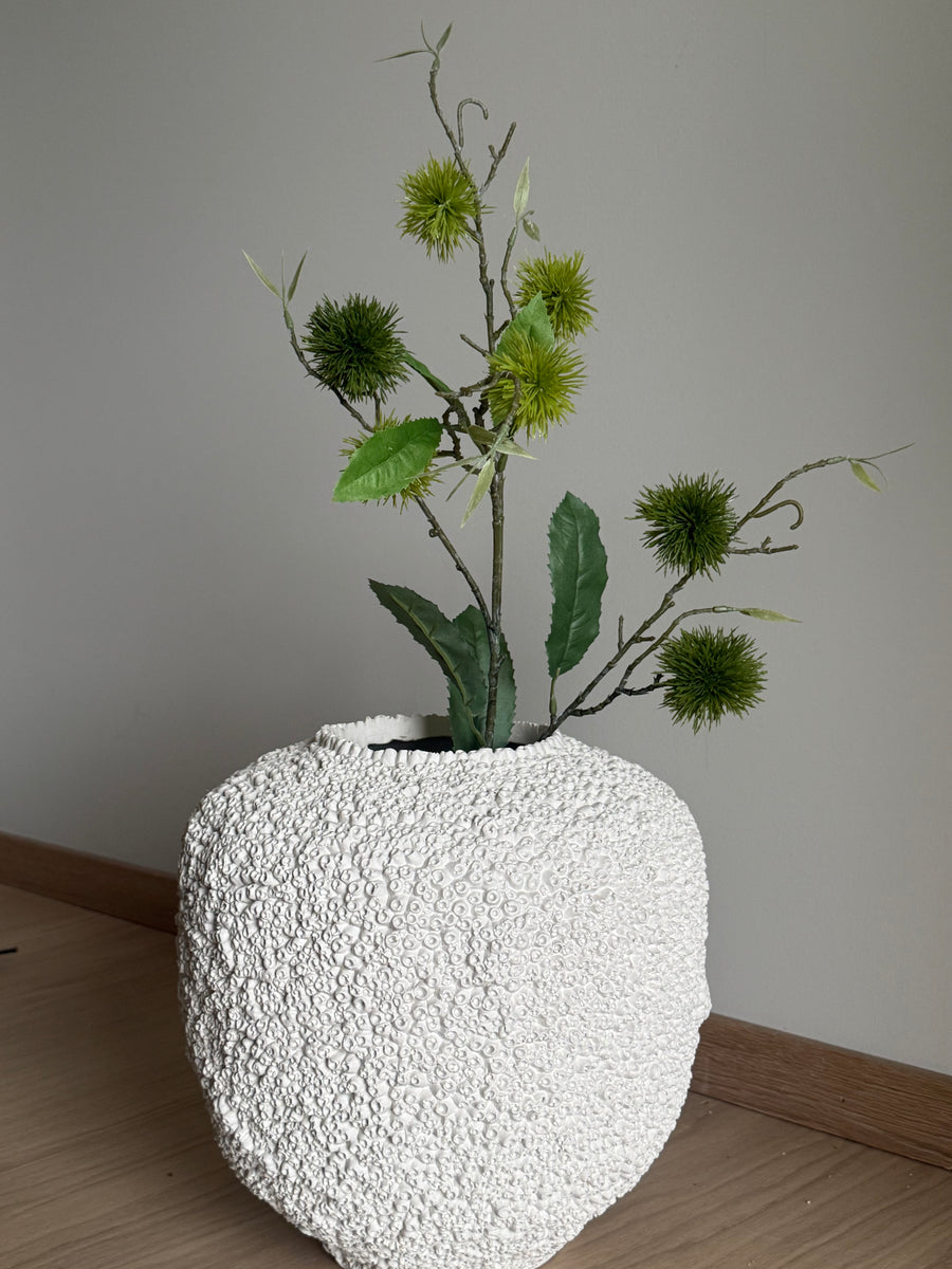 Thistle stor