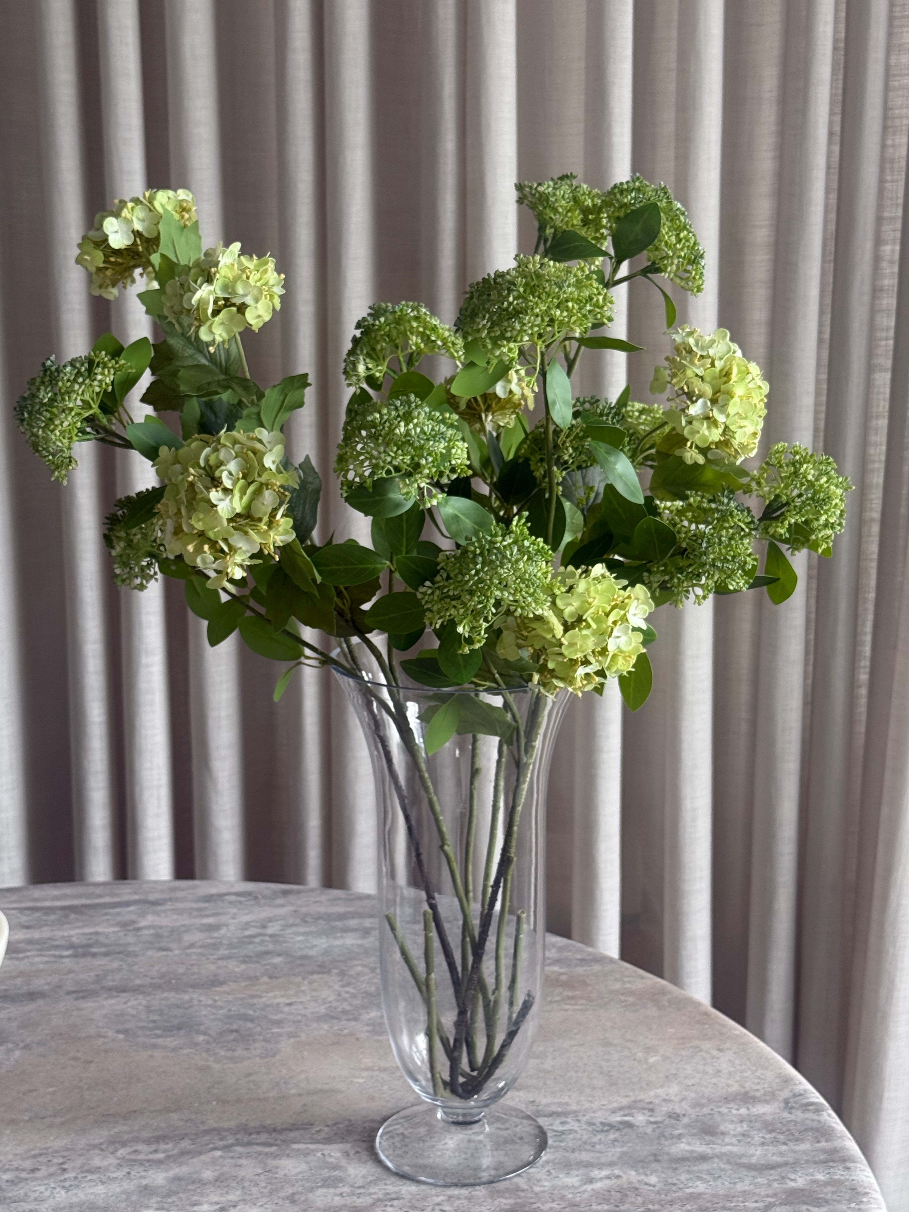 Viburnum