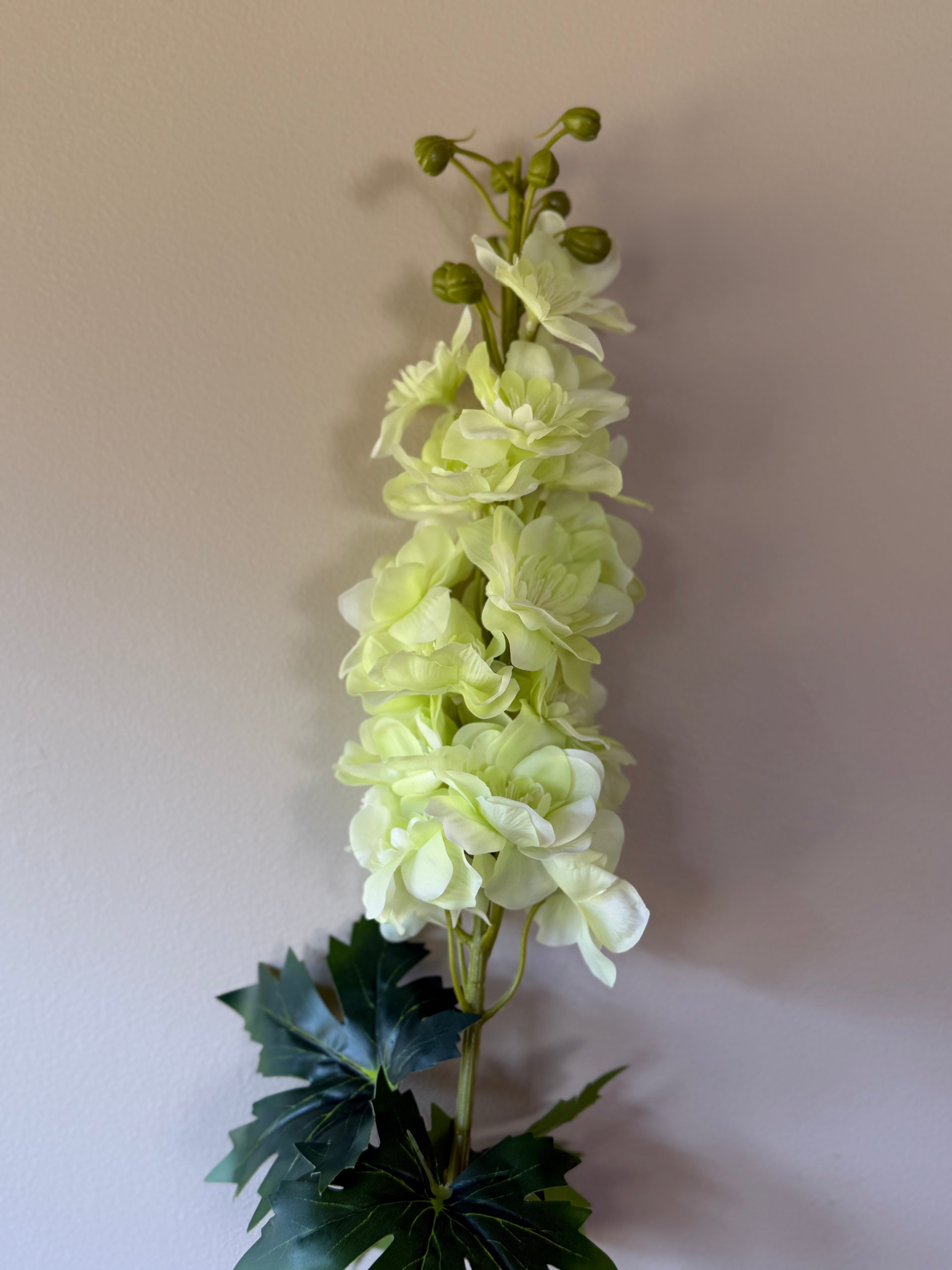 Delphinium lys grønn