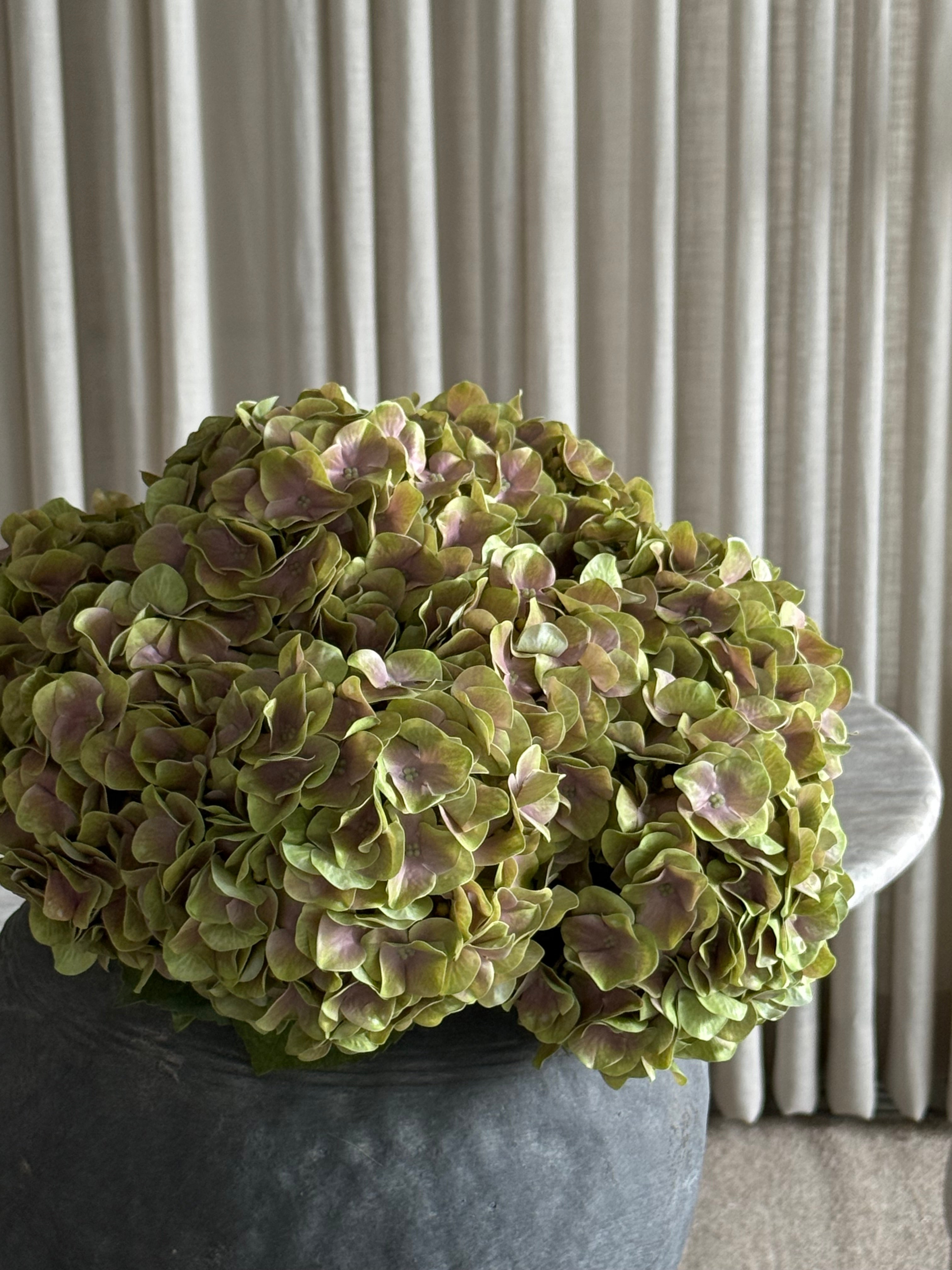 Hortensiabukett premium dus