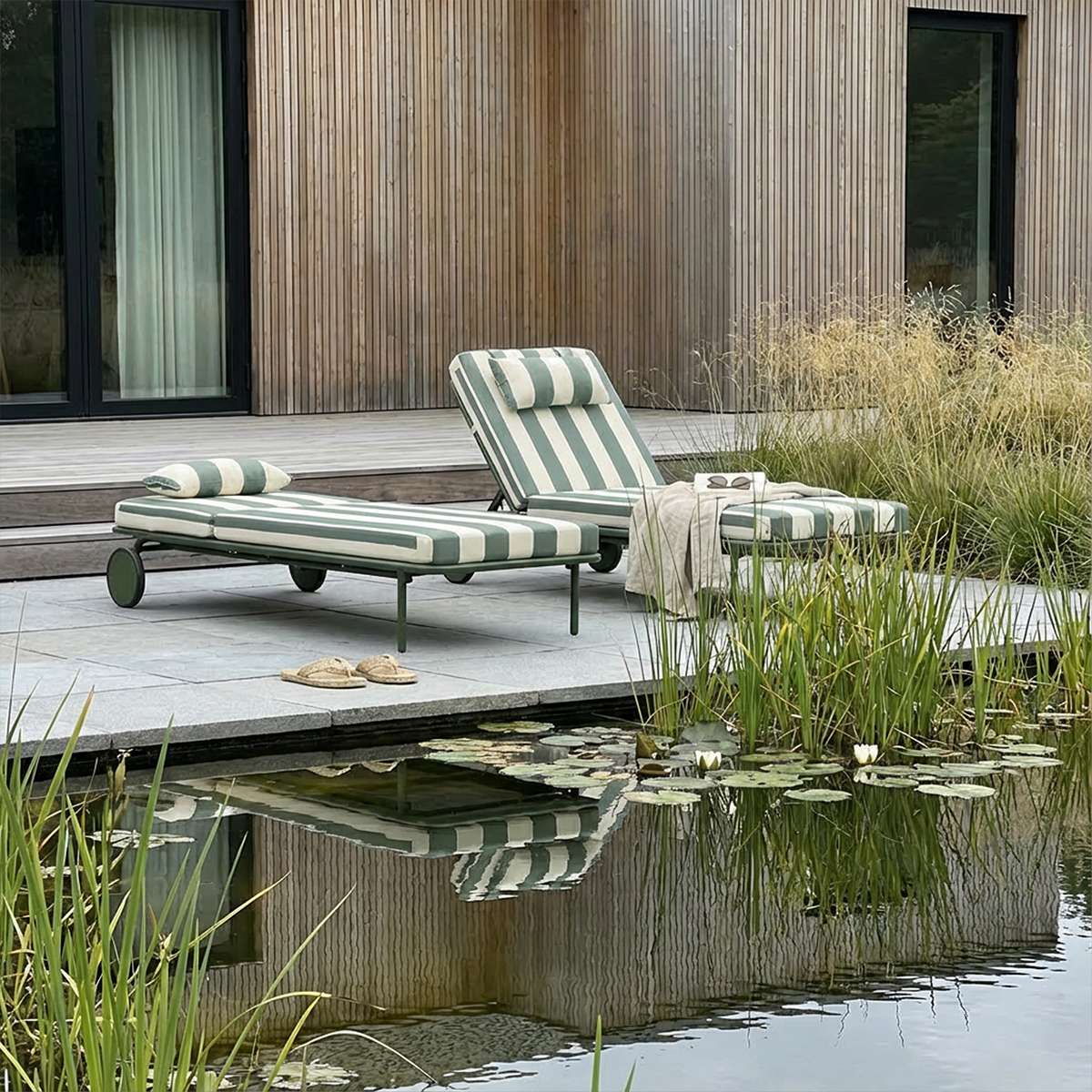 Mollis solseng olive