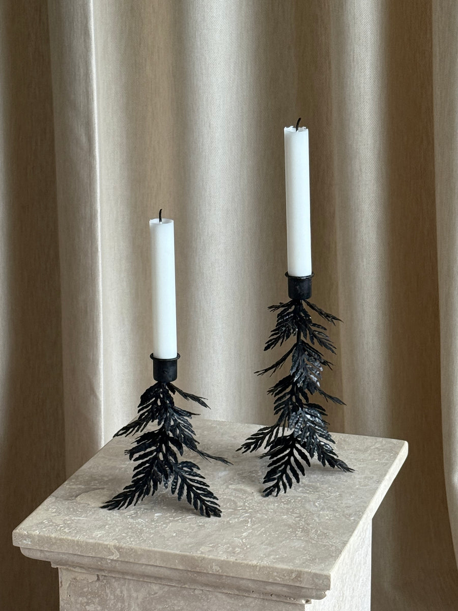 Tre lysestake svart lav