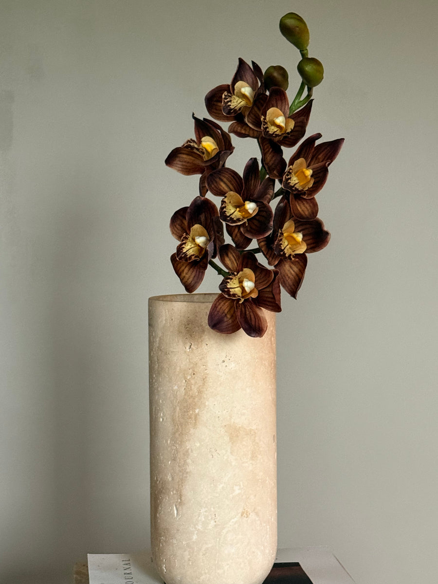 Cymbidium høst