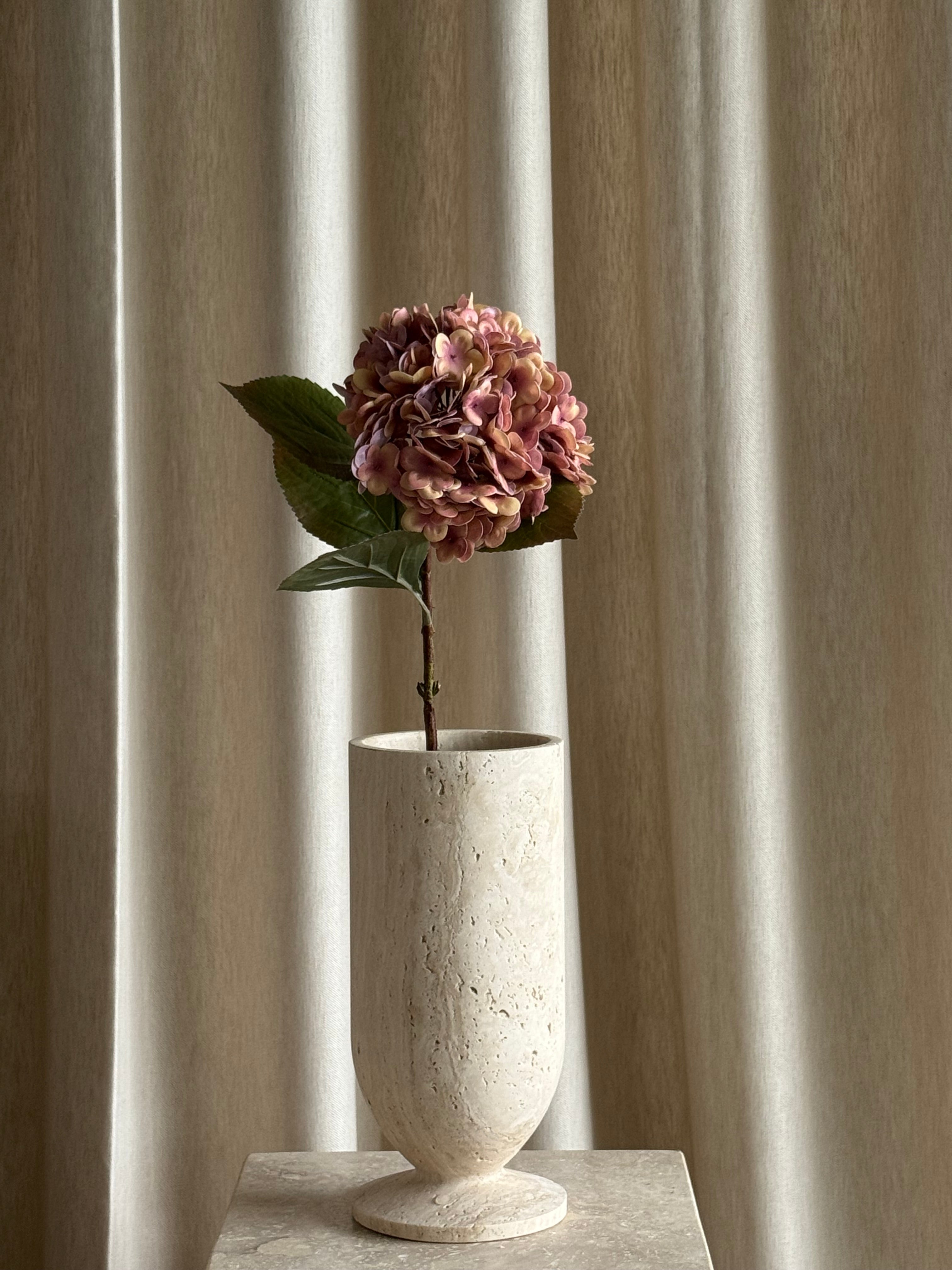 Hortensia gammelrosa