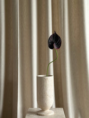 Anthurium svart/burgunder