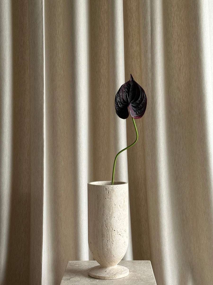 Anthurium svart/burgunder