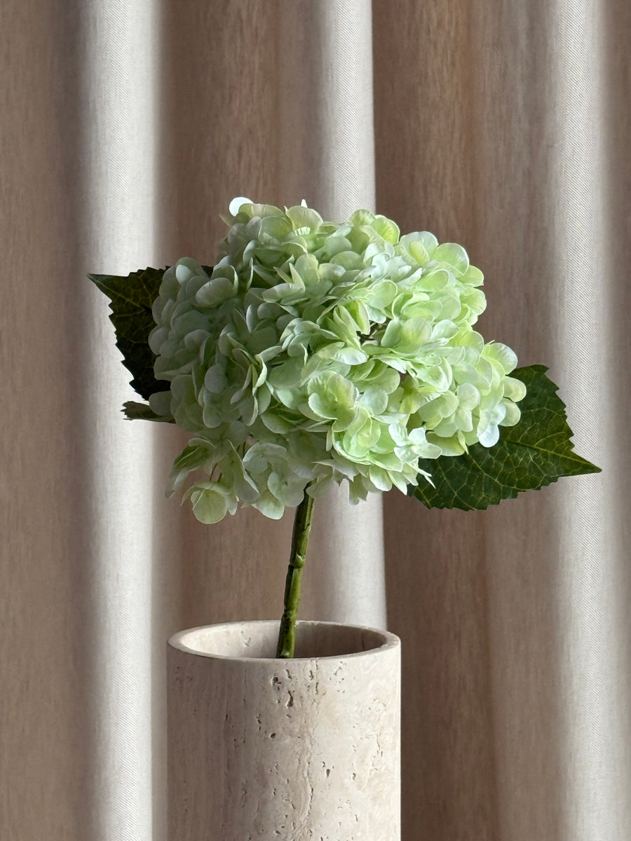 Hortensia lys grønn