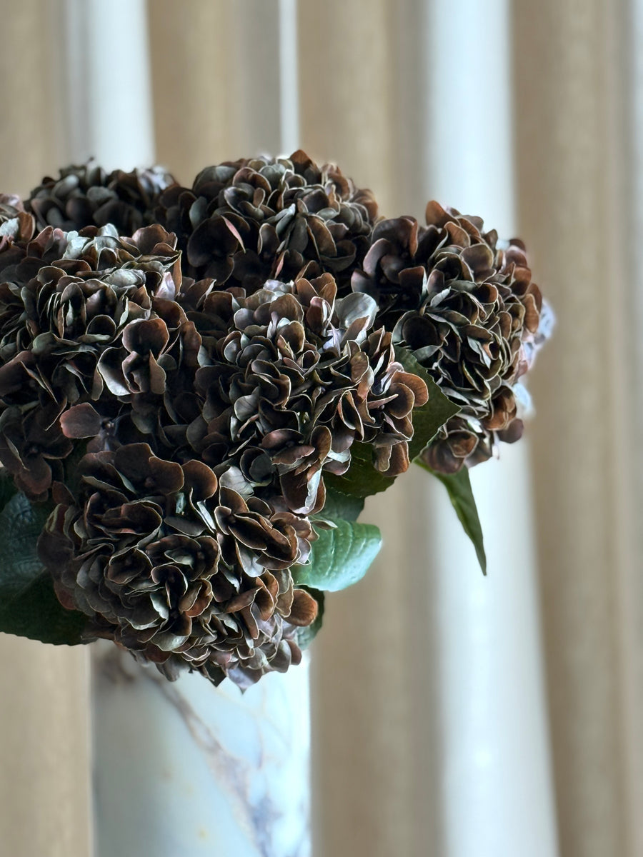 Hortensia mørk brun