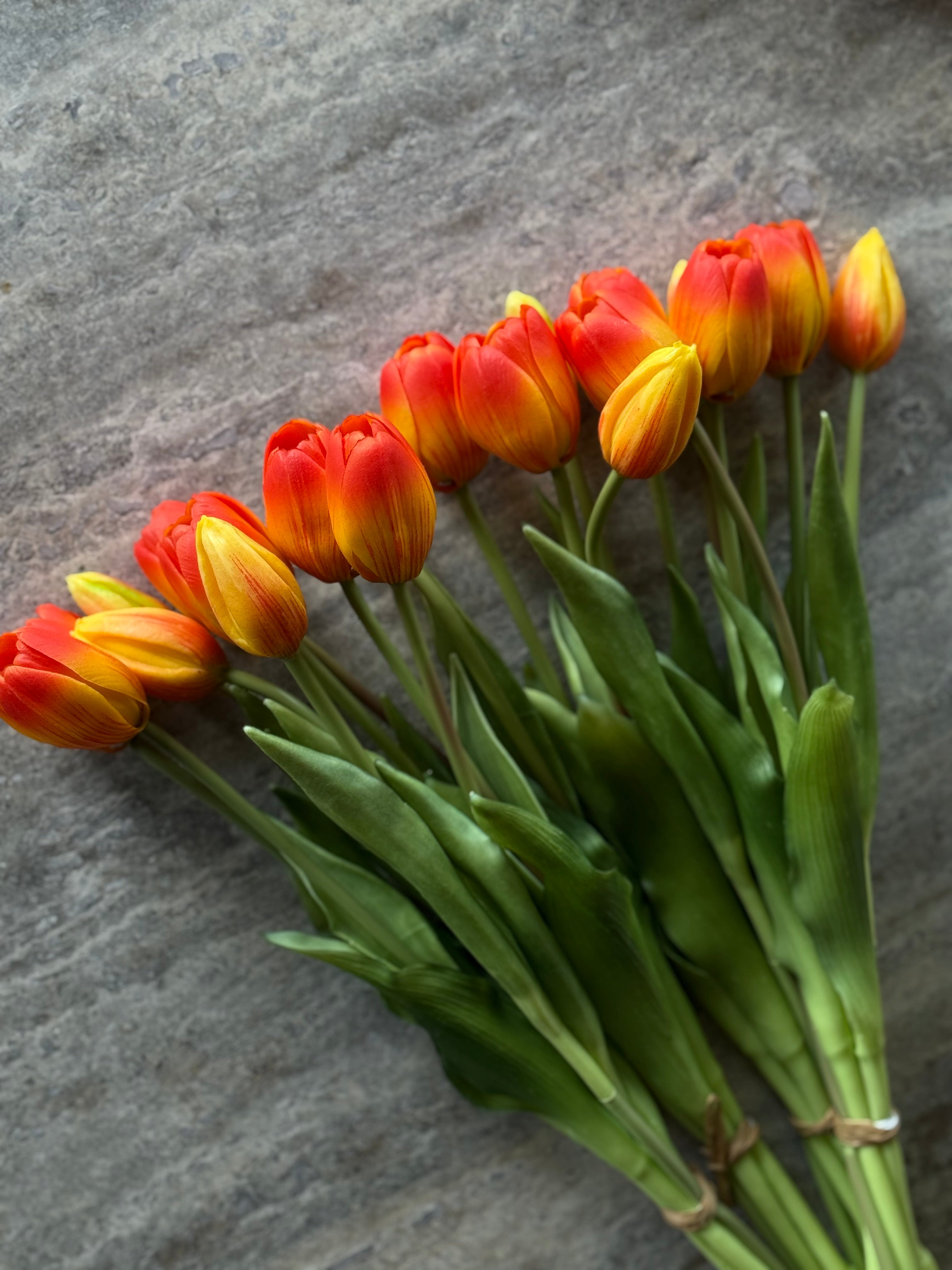 Tulipanbukett orange 15 stk