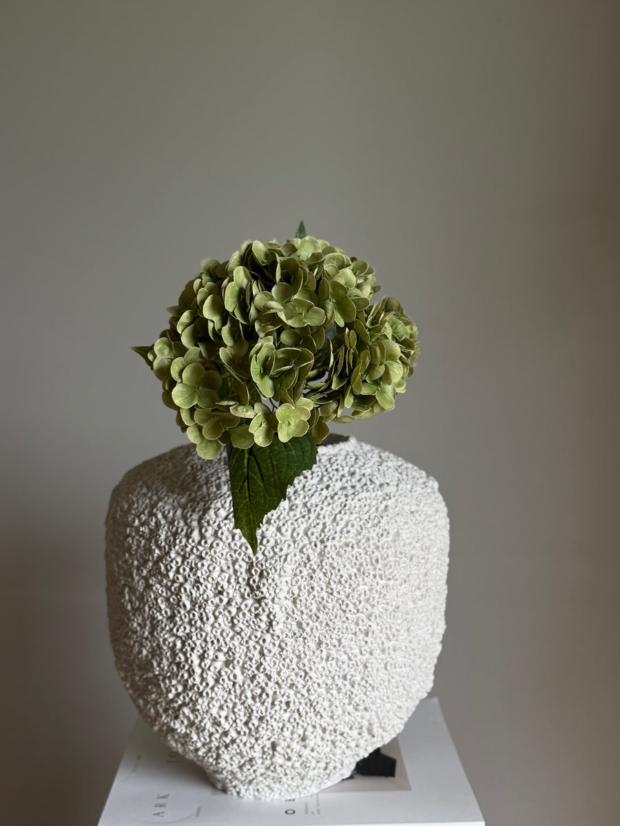 Hortensia dus grønn