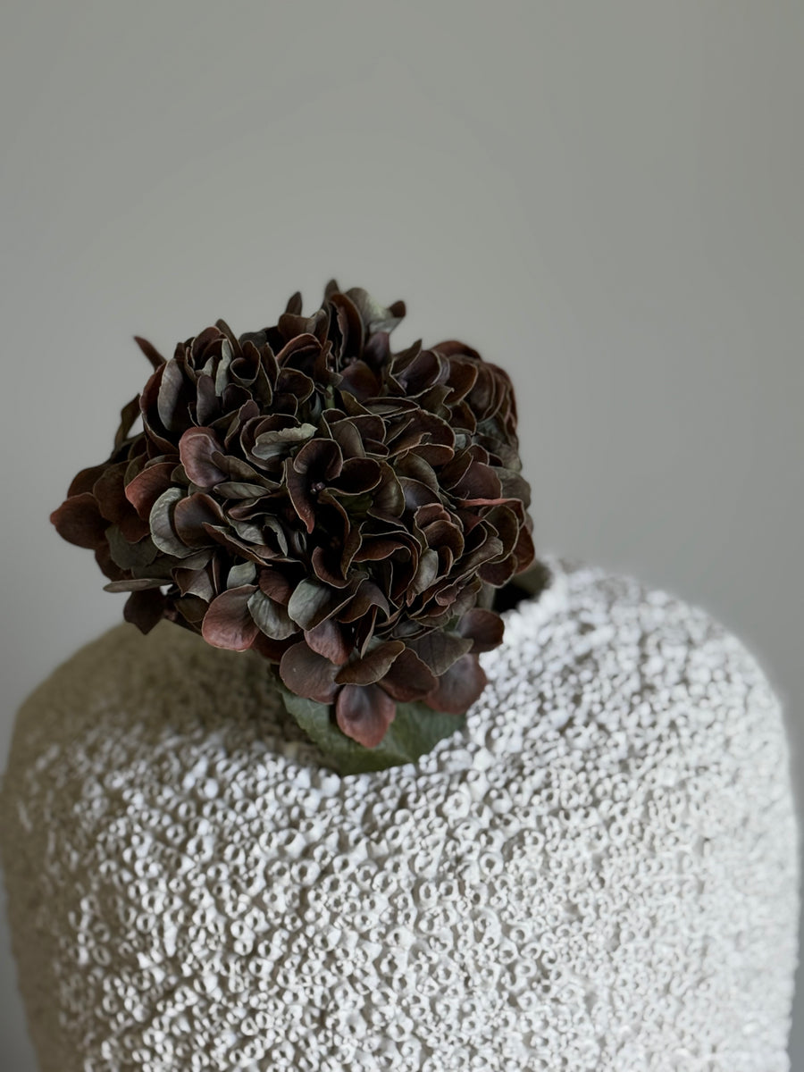 Hortensia høst