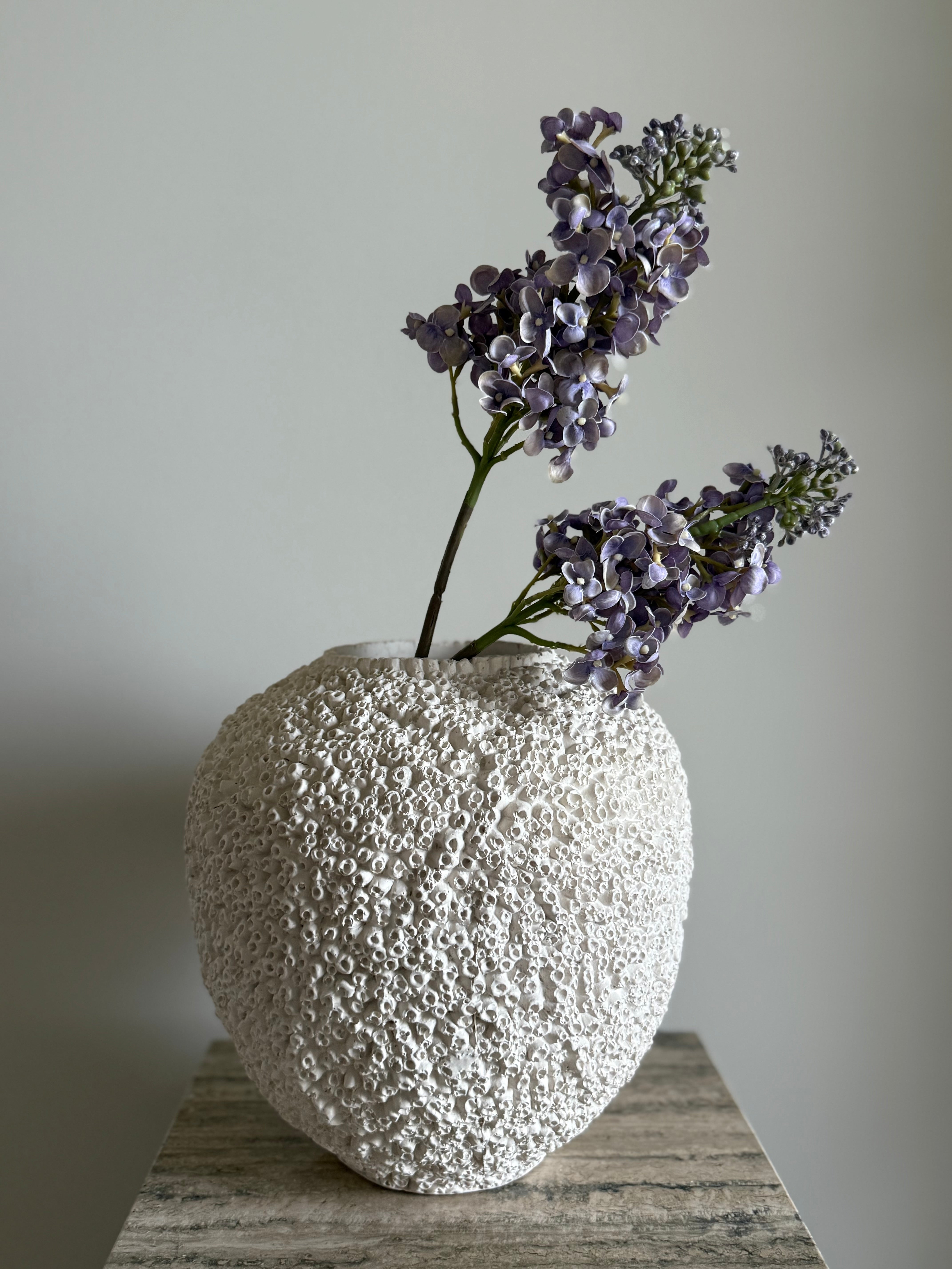 Syrinhortensia lilla