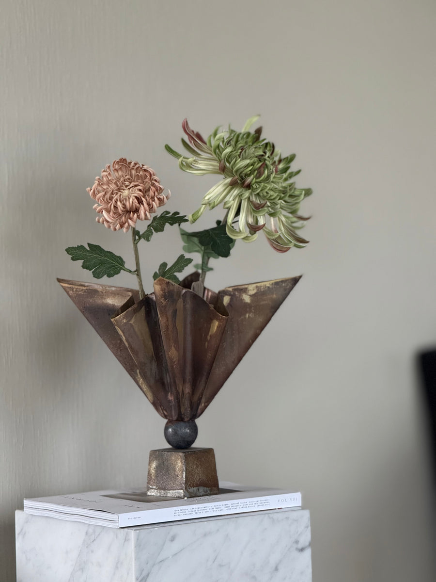 Krysantemum beige