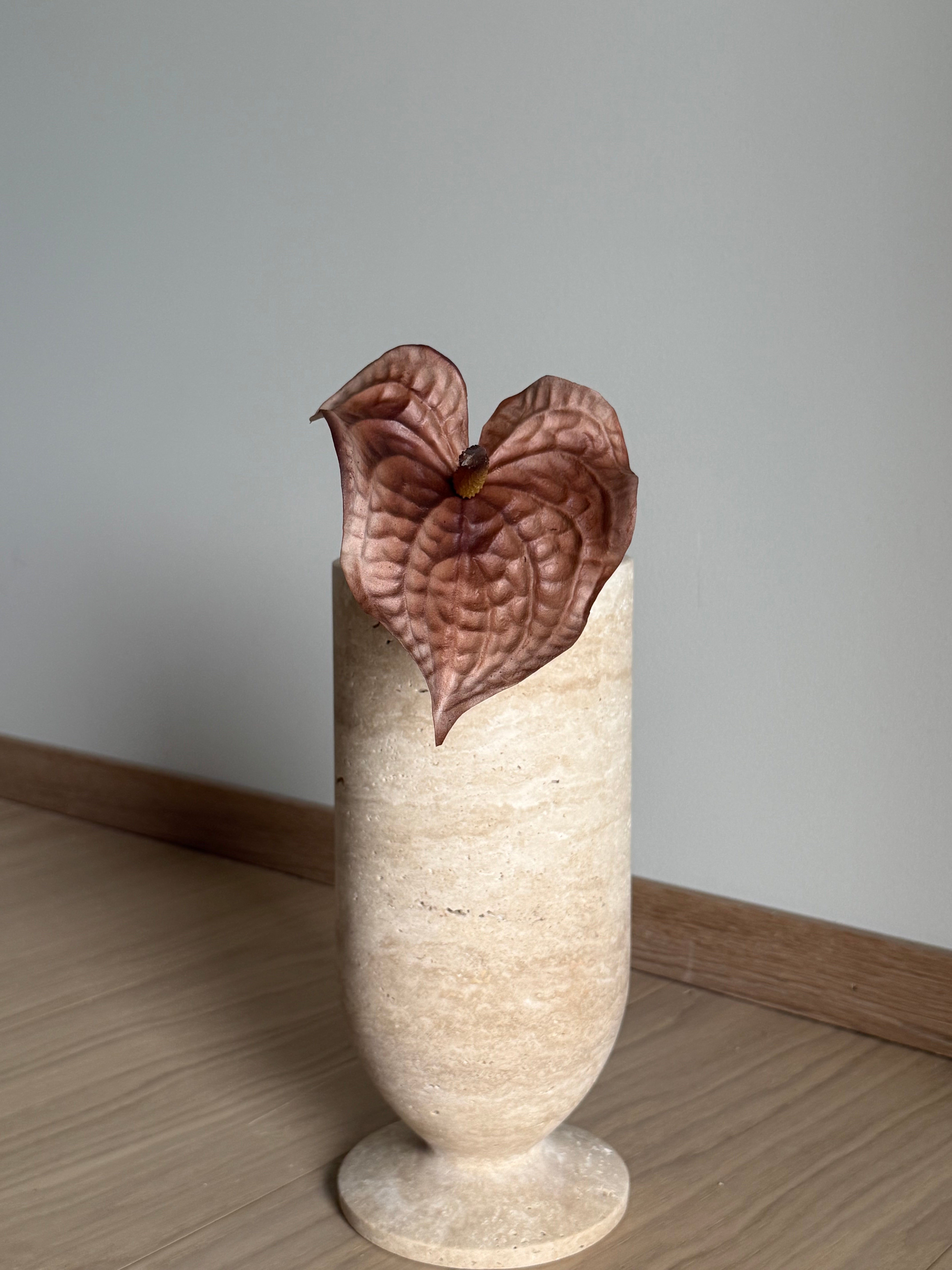 Anthurium brun