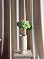 Hortensia lys grønn