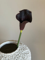 Kala burgunder