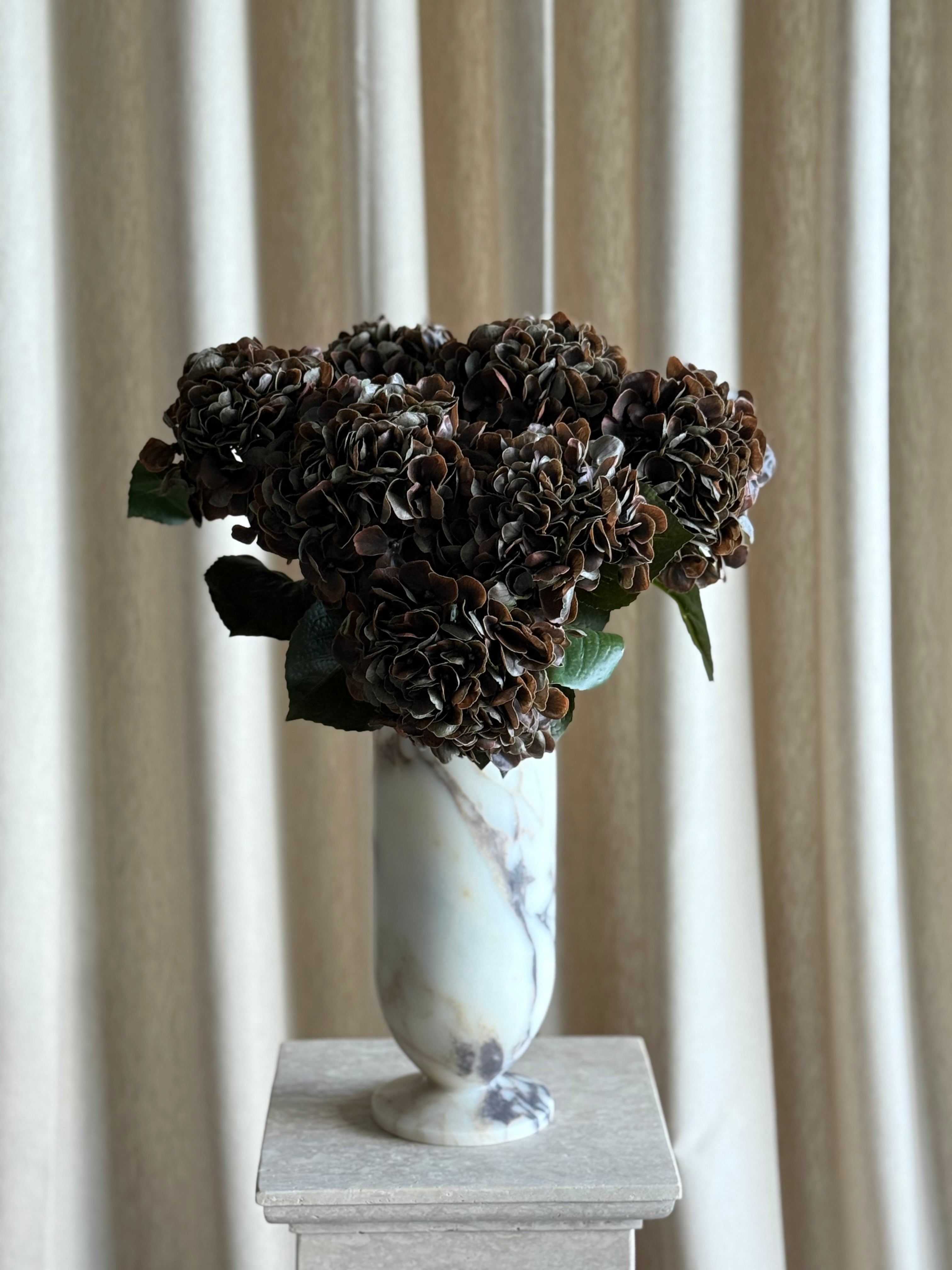 Hortensia mørk brun