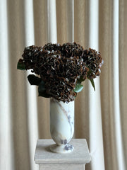 Hortensia mørk brun