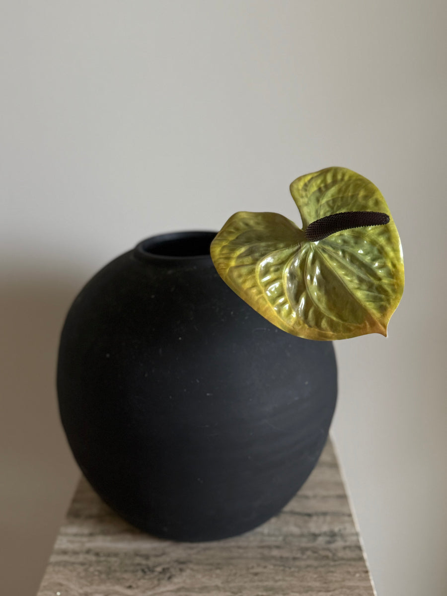 Anthurium