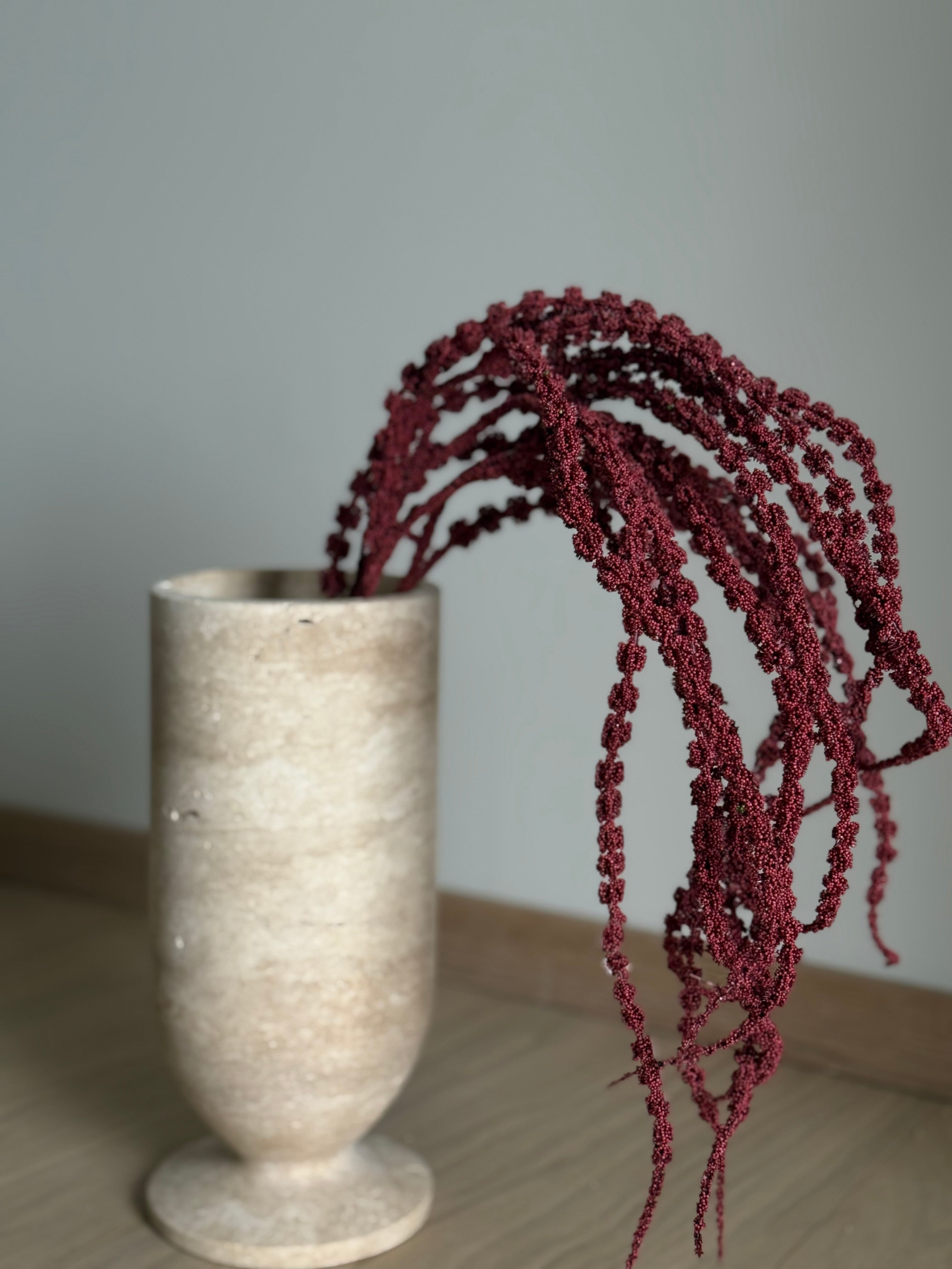 Amaranthus fyldig rød
